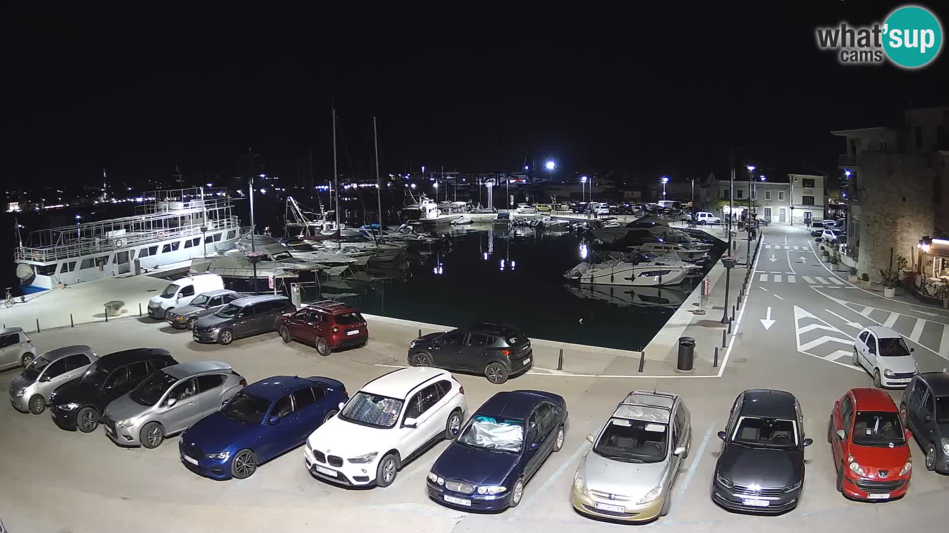 Novigrad | Porporela marina