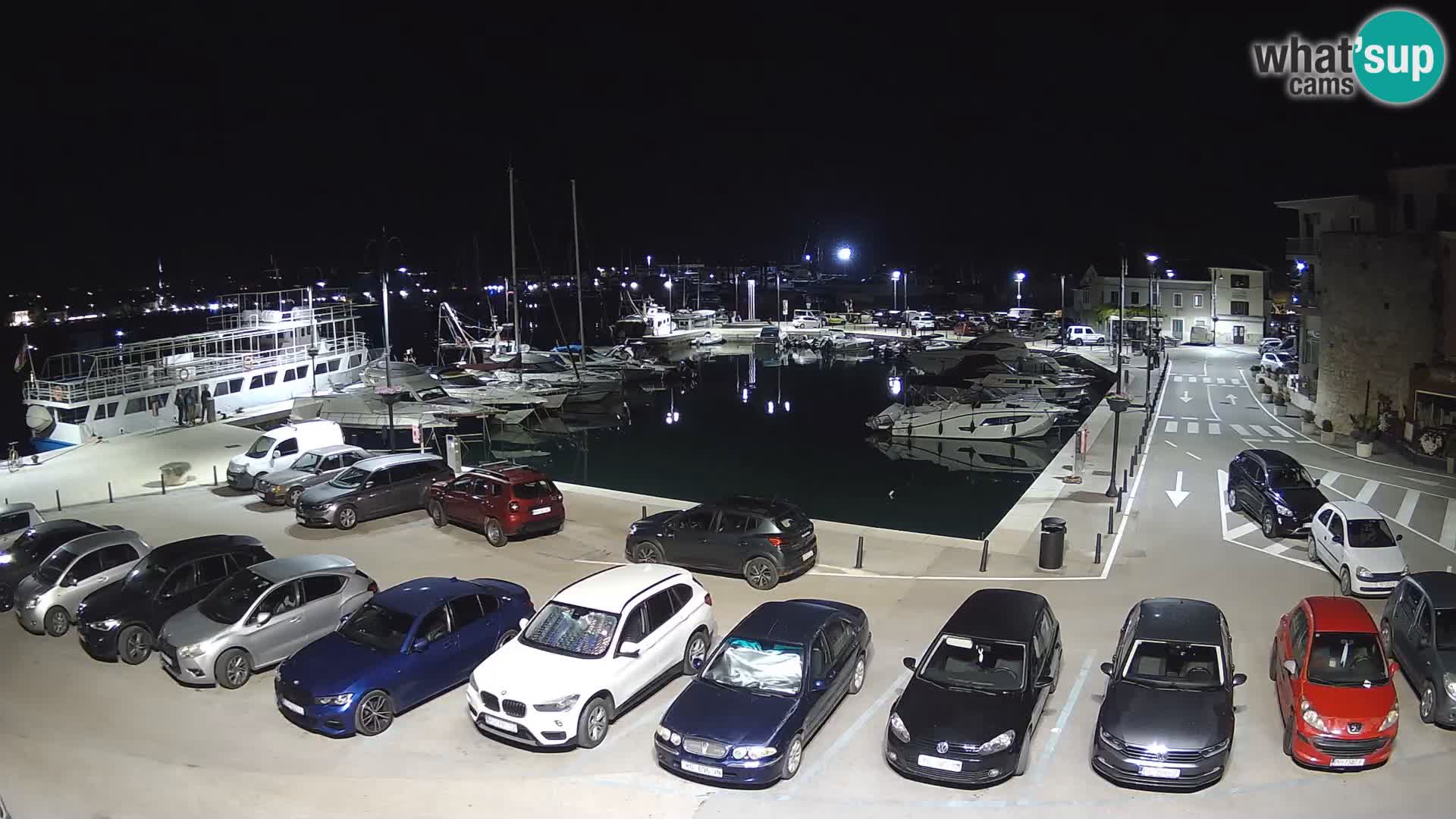 Novigrad | Porporela marina