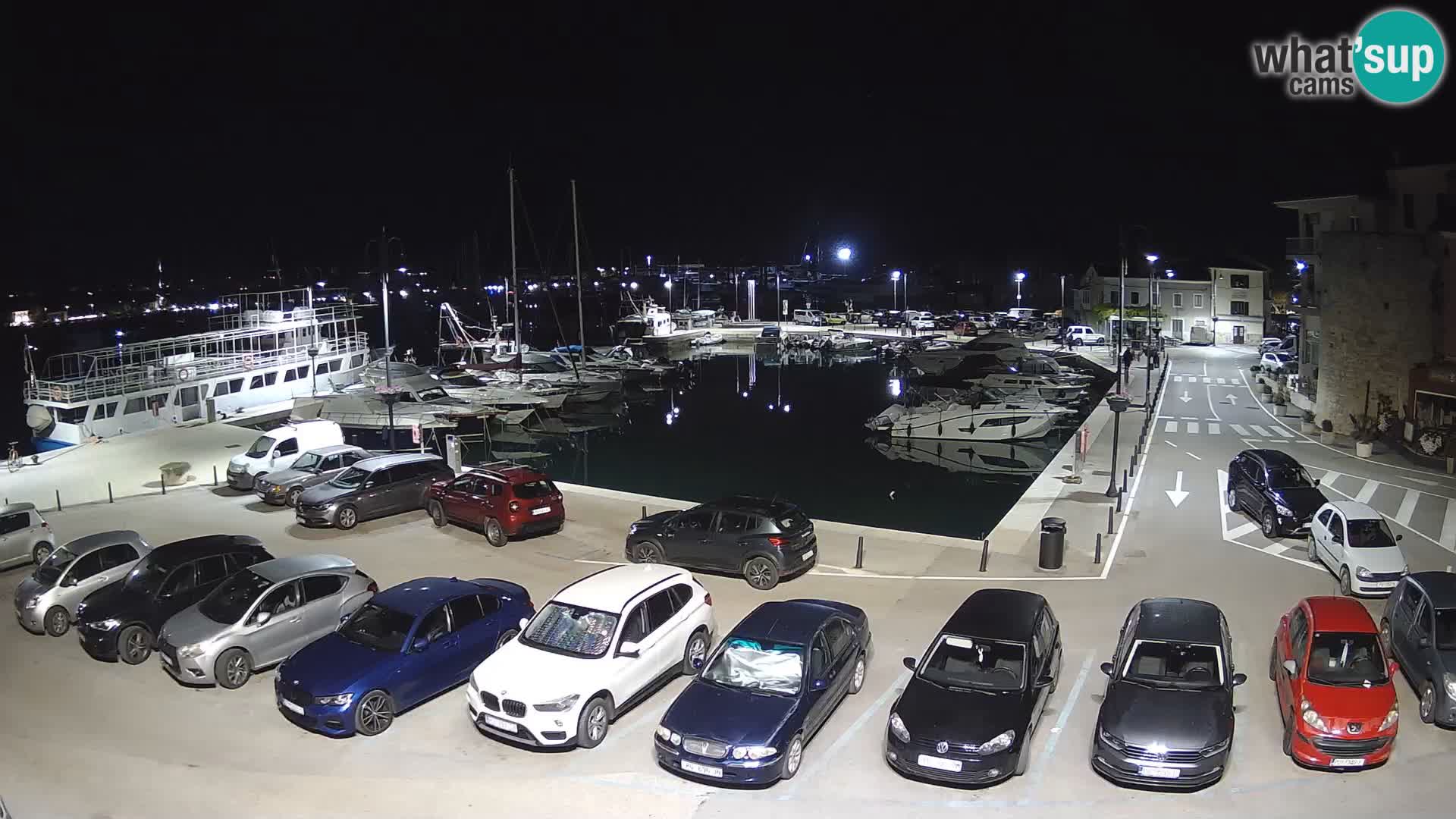 Novigrad | Porporela marina
