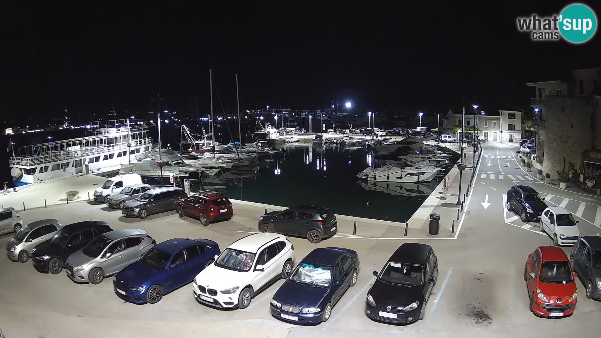 Novigrad | Porporela marina