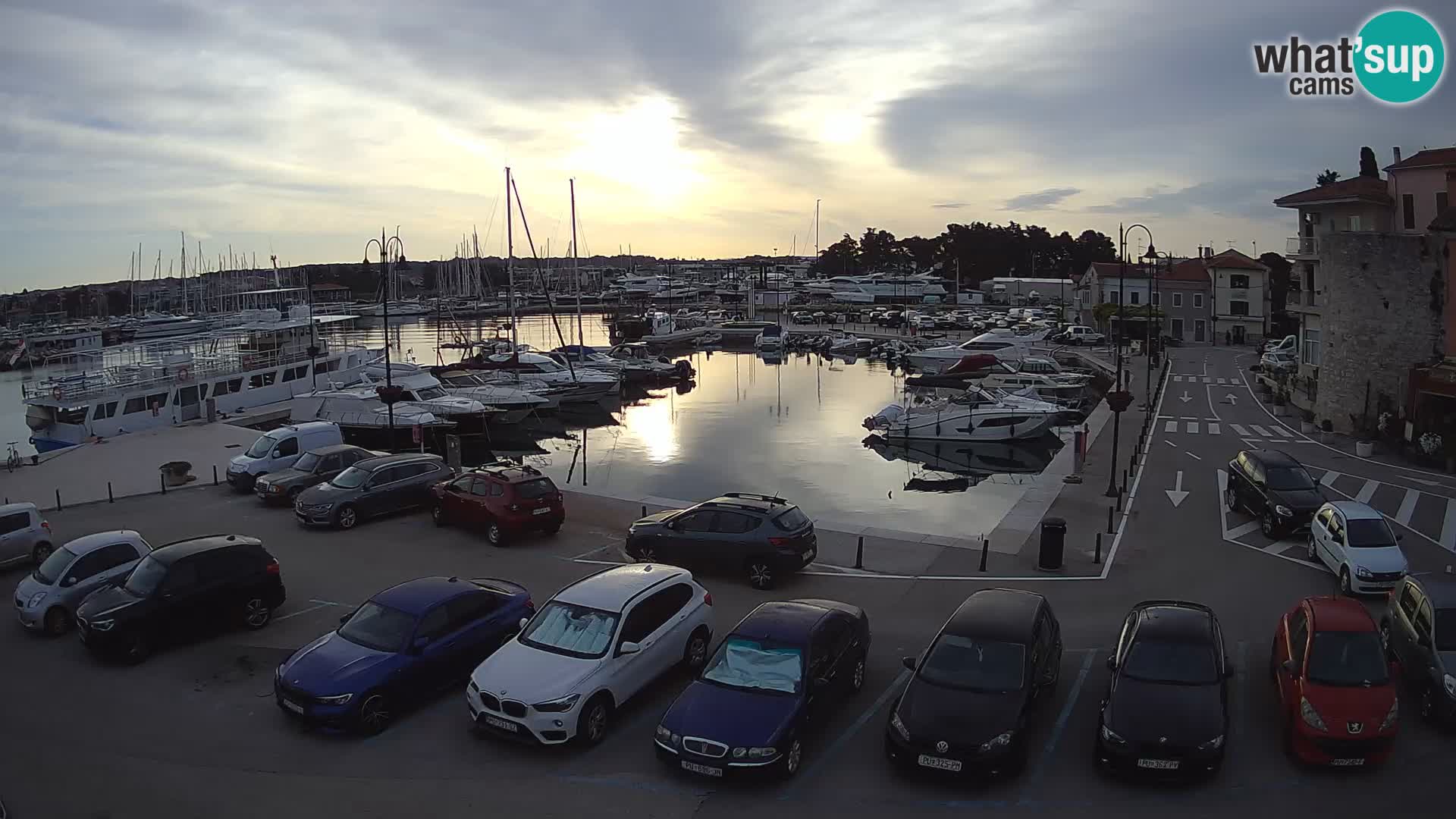 Novigrad | Porporela marina