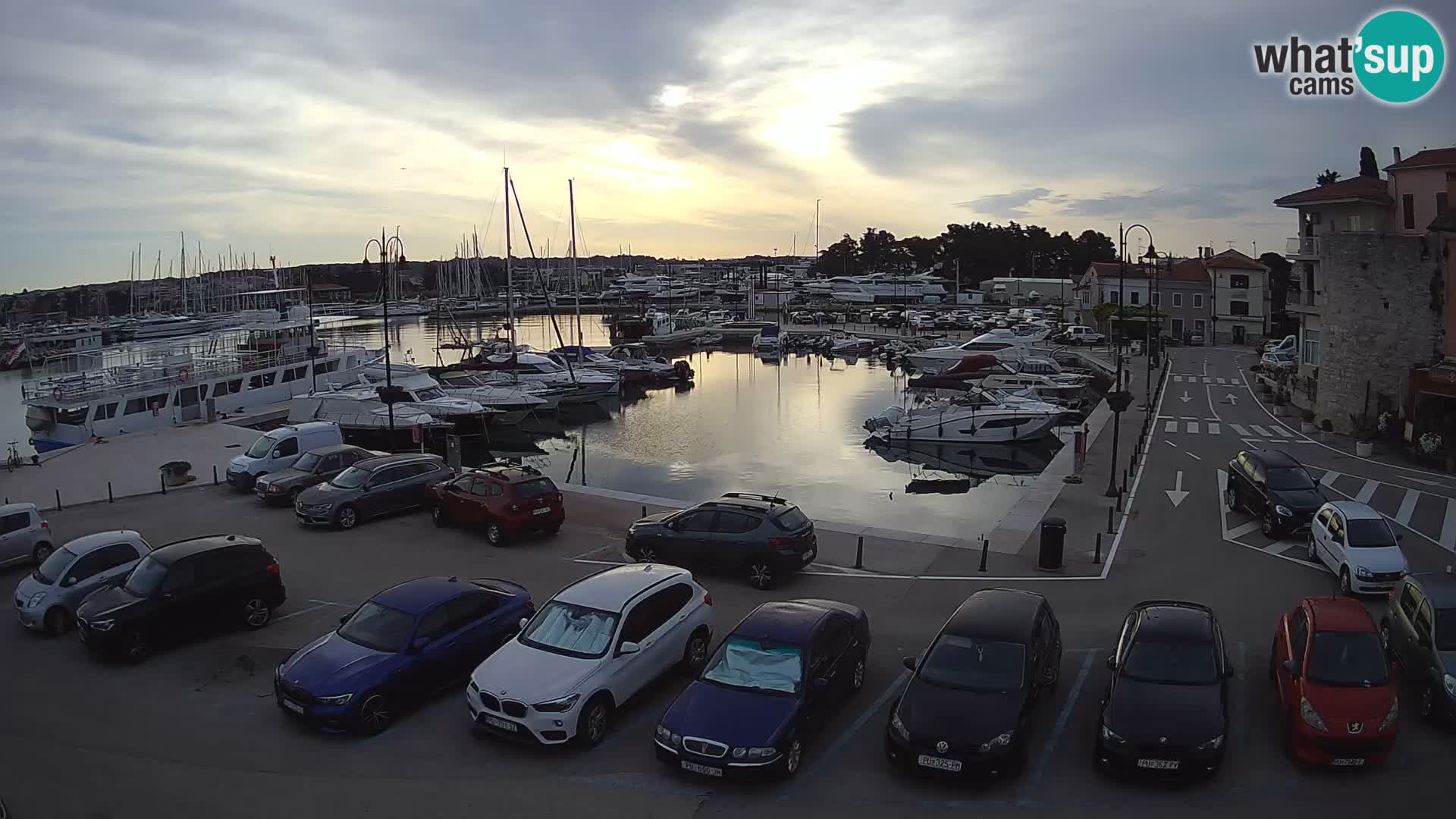 Novigrad | Porporela marina
