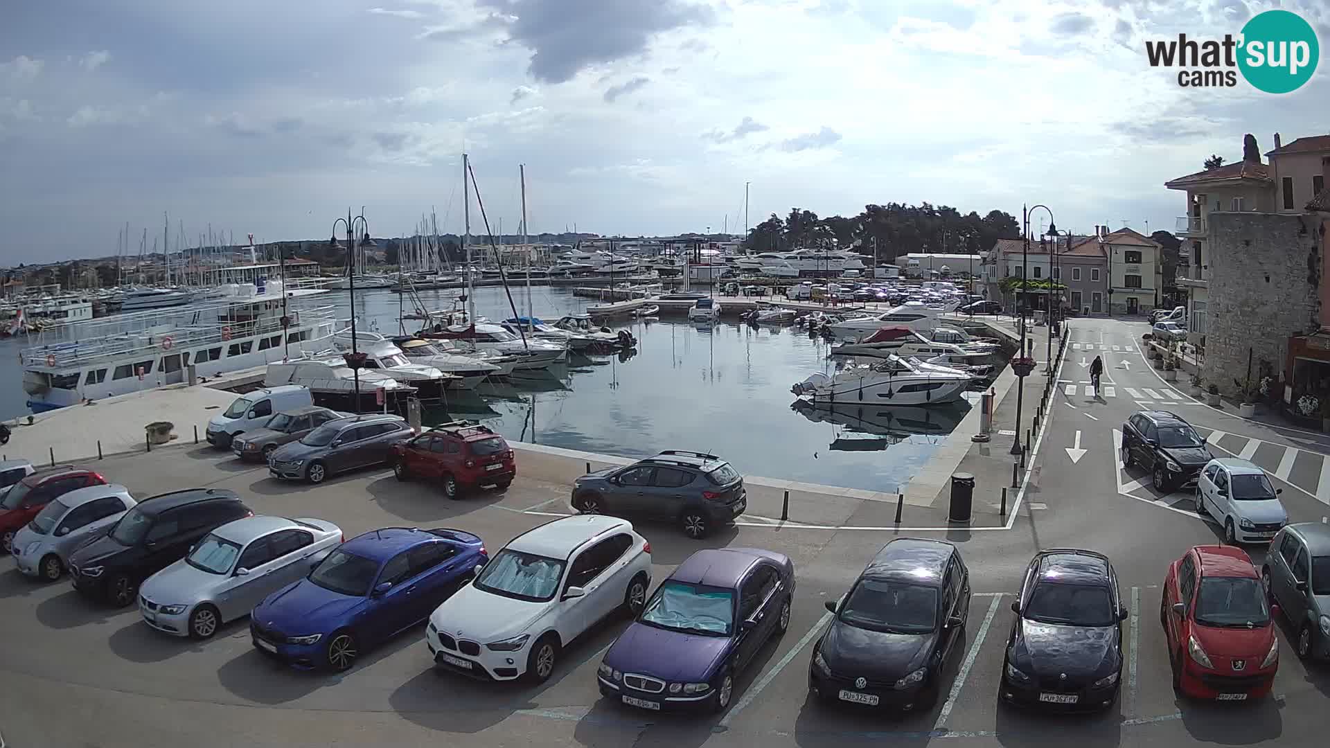 Novigrad | Porporela marina