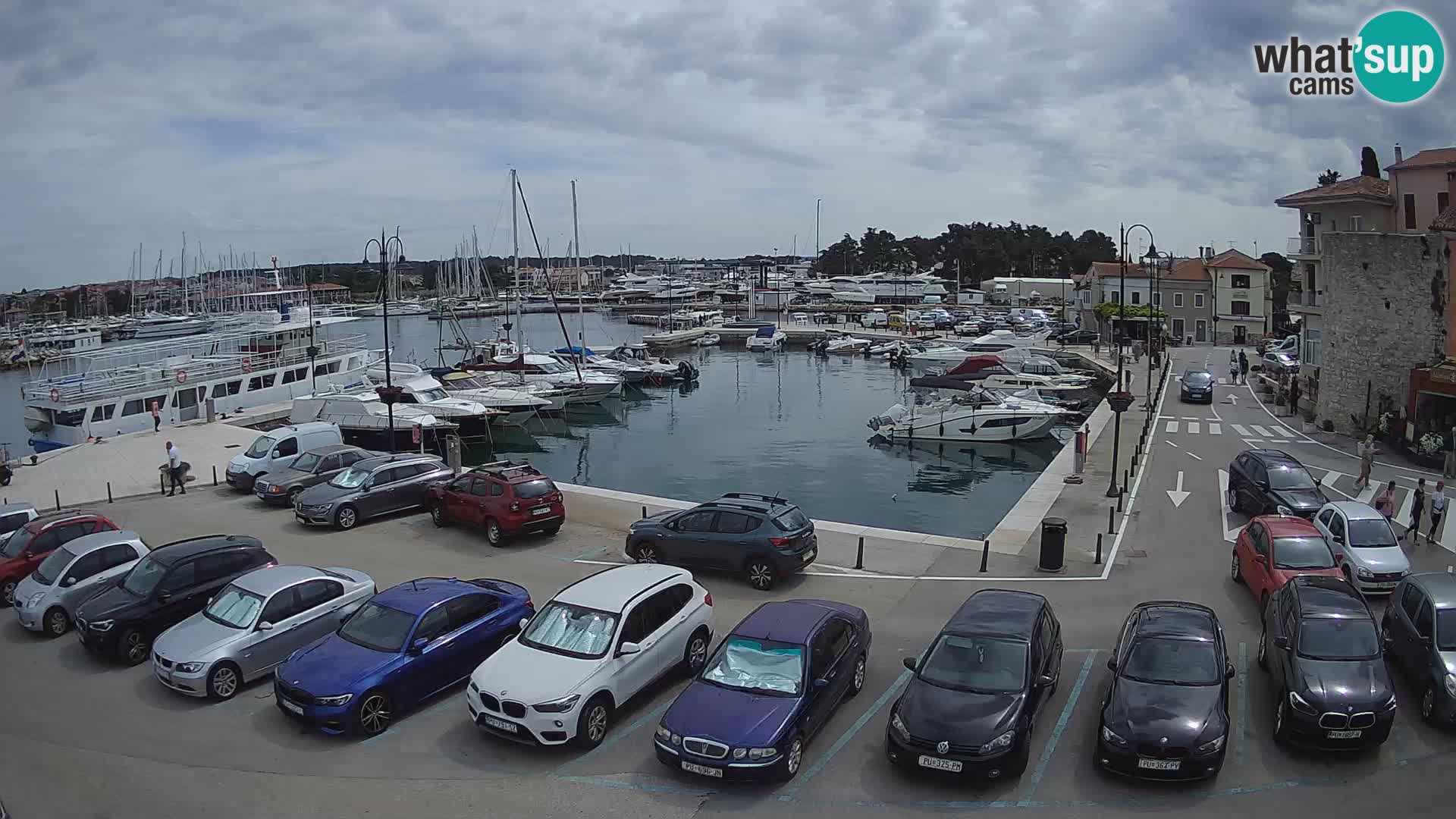 Novigrad | Porporela marina