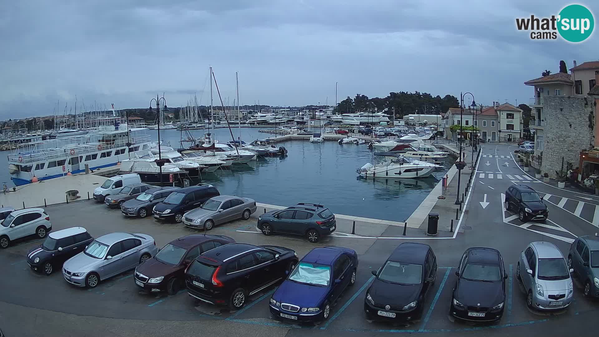 Novigrad | Porporela marina