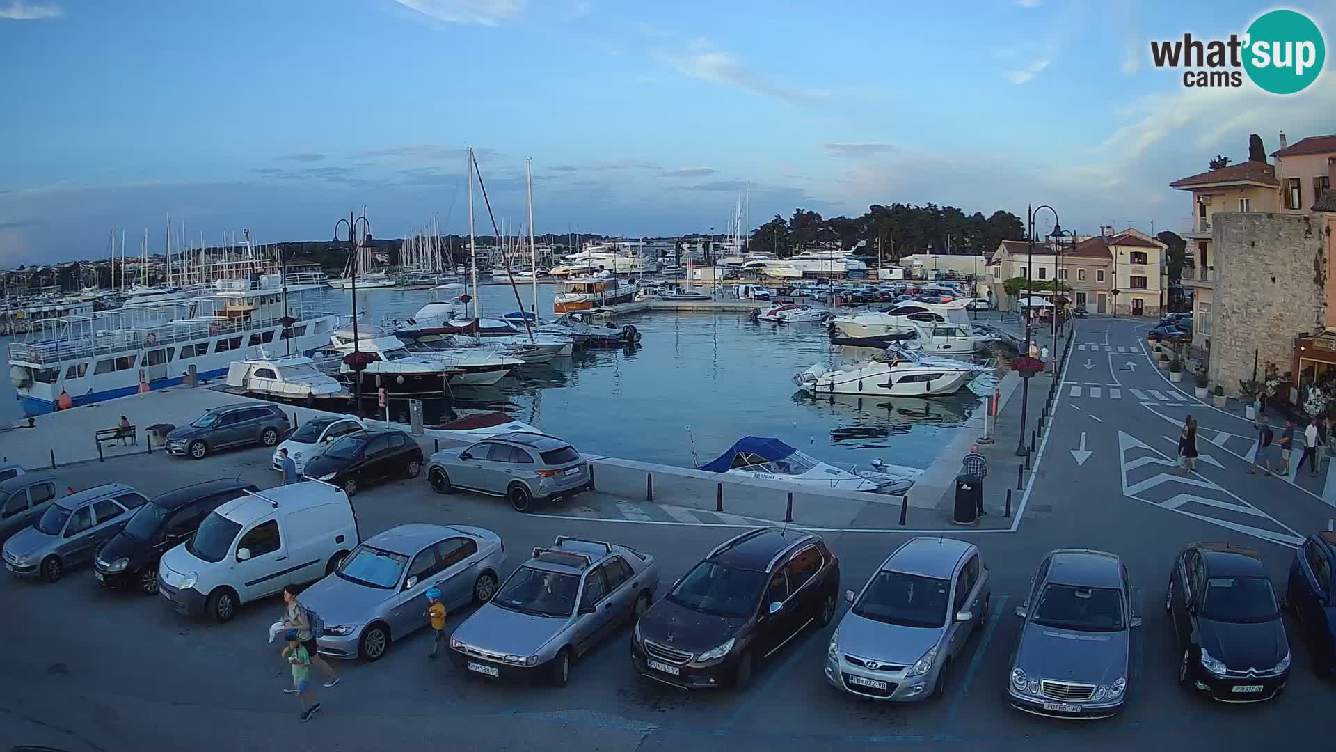 Novigrad | Porporela marina