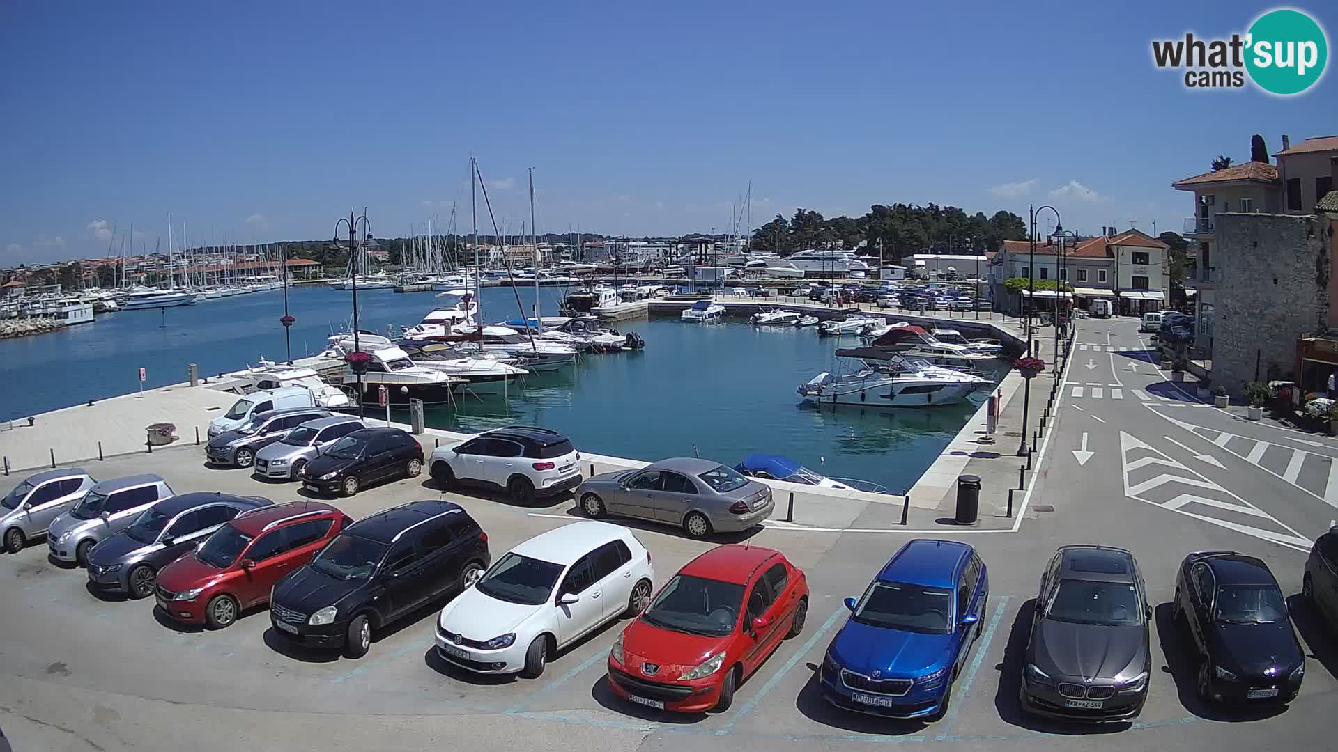 Novigrad | Porporela marina