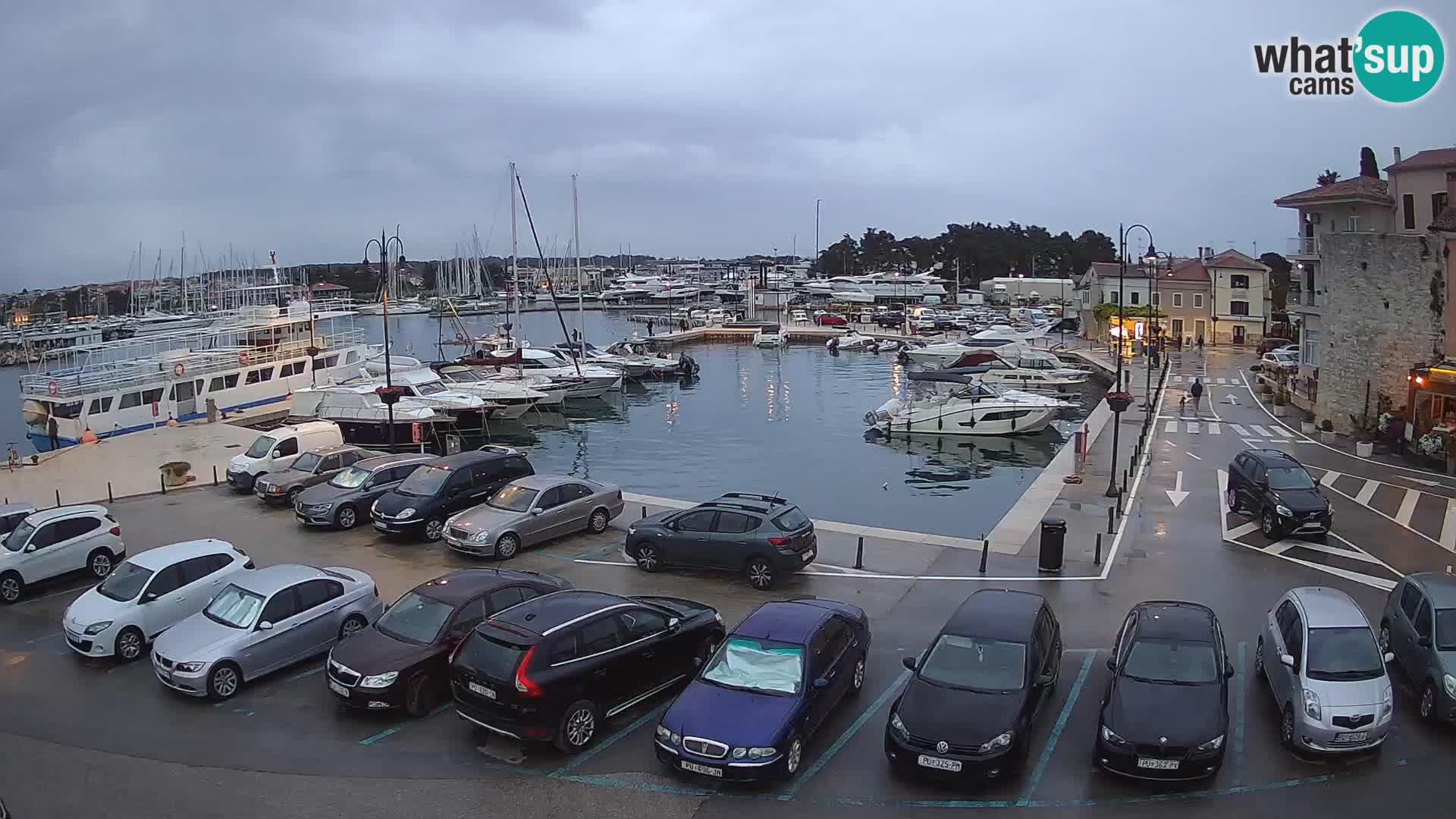 Novigrad | Porporela marina