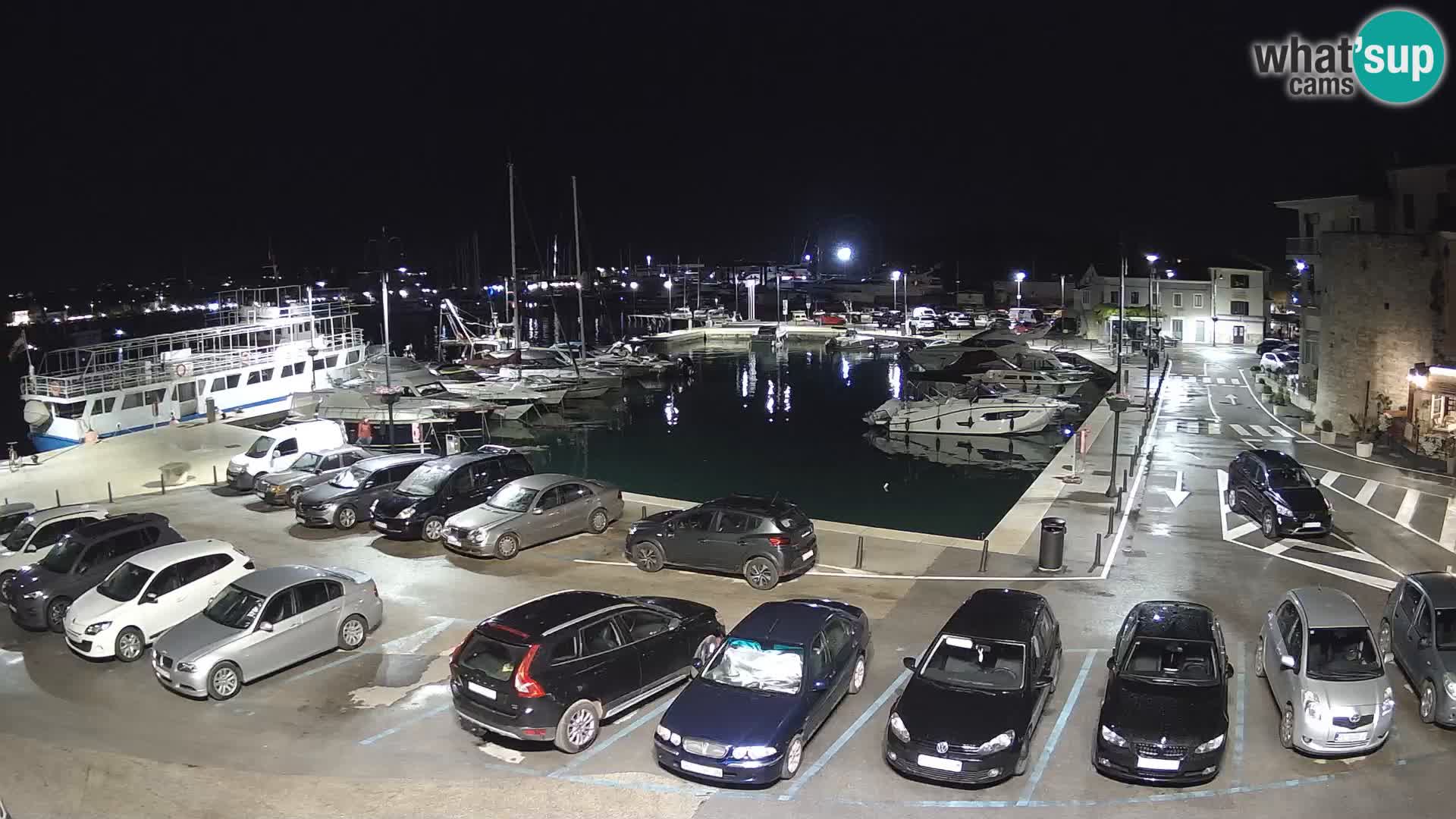 Novigrad | Porporela marina