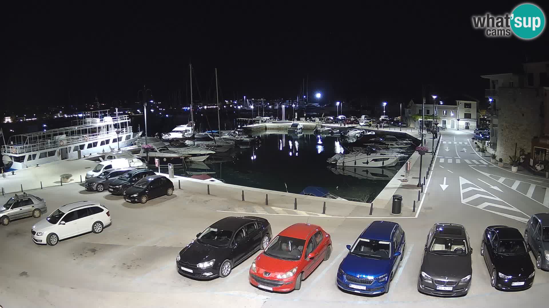 Novigrad | Porporela marina