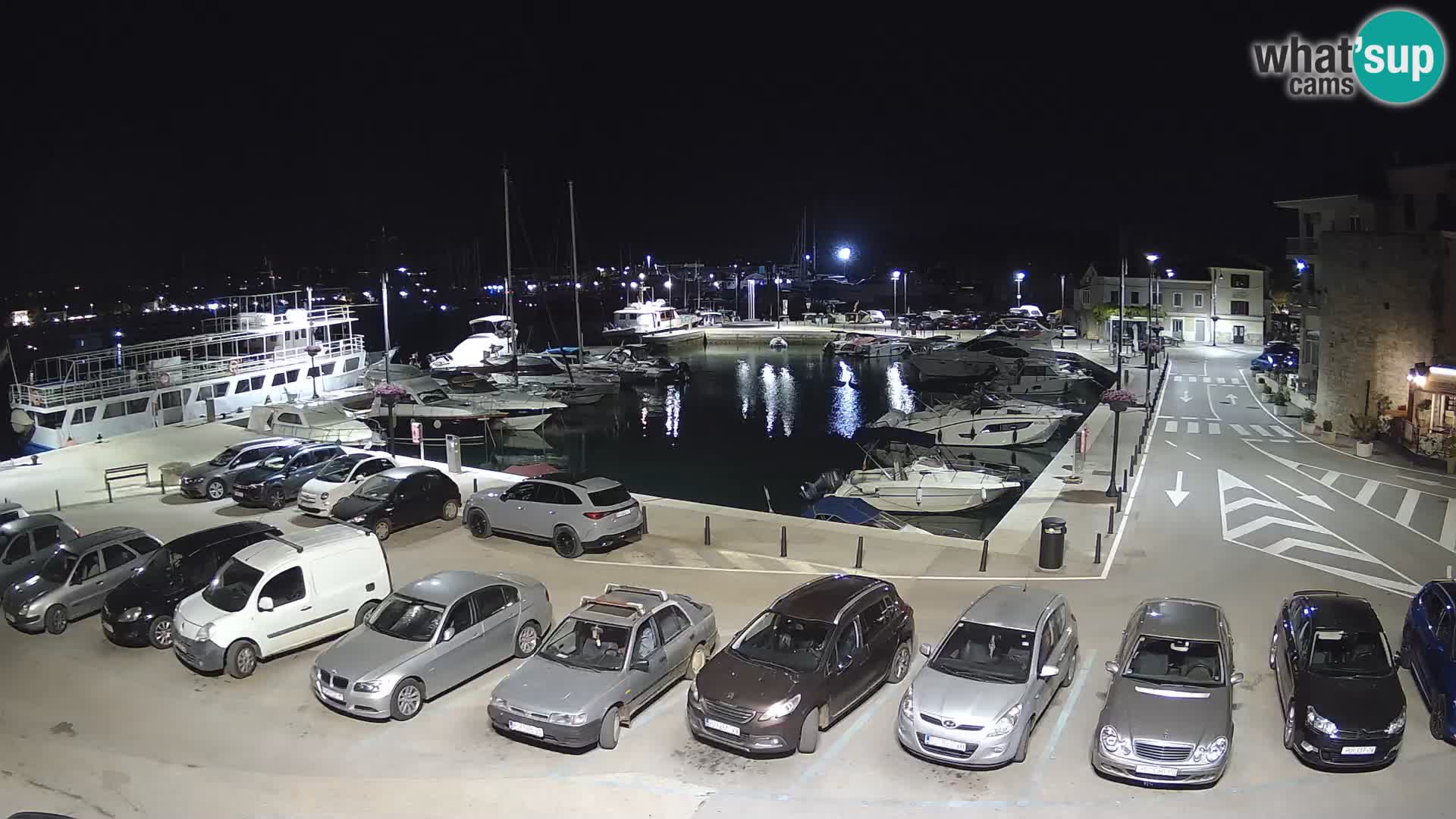 Novigrad | Porporela marina
