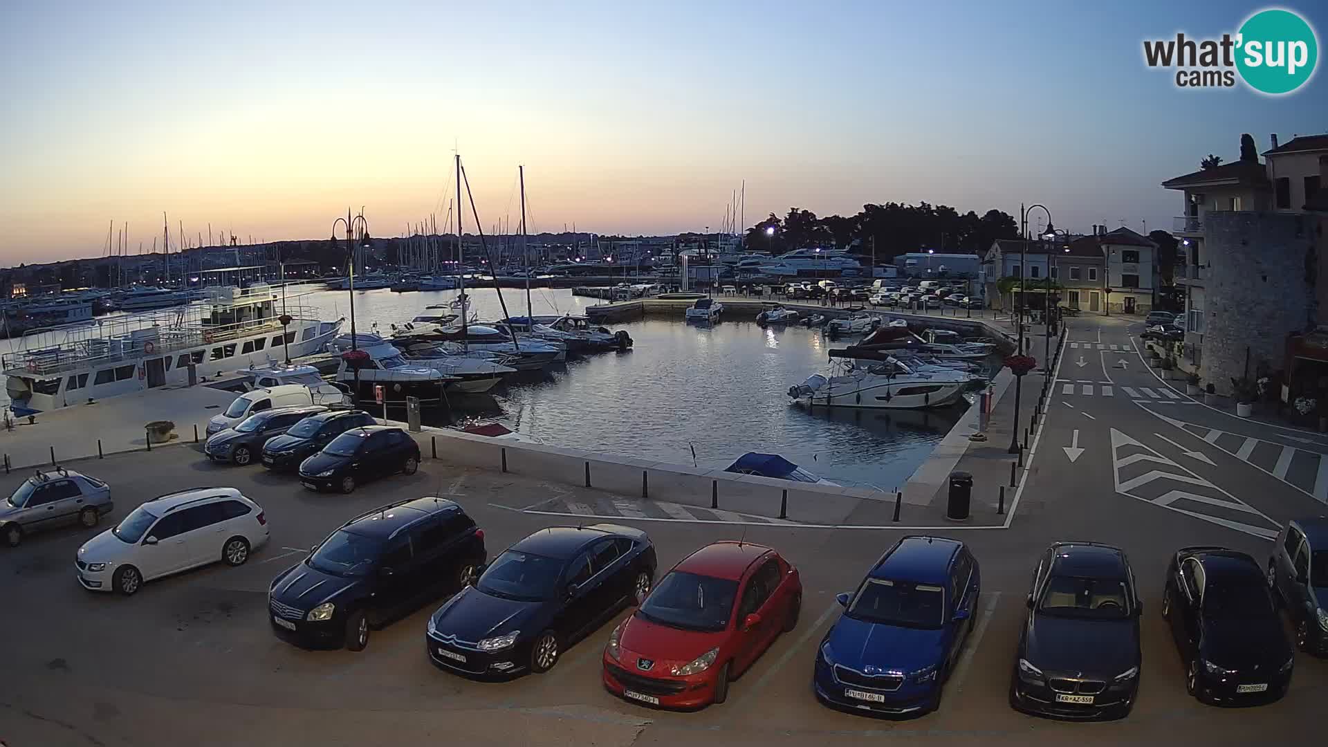 Novigrad | Porporela marina