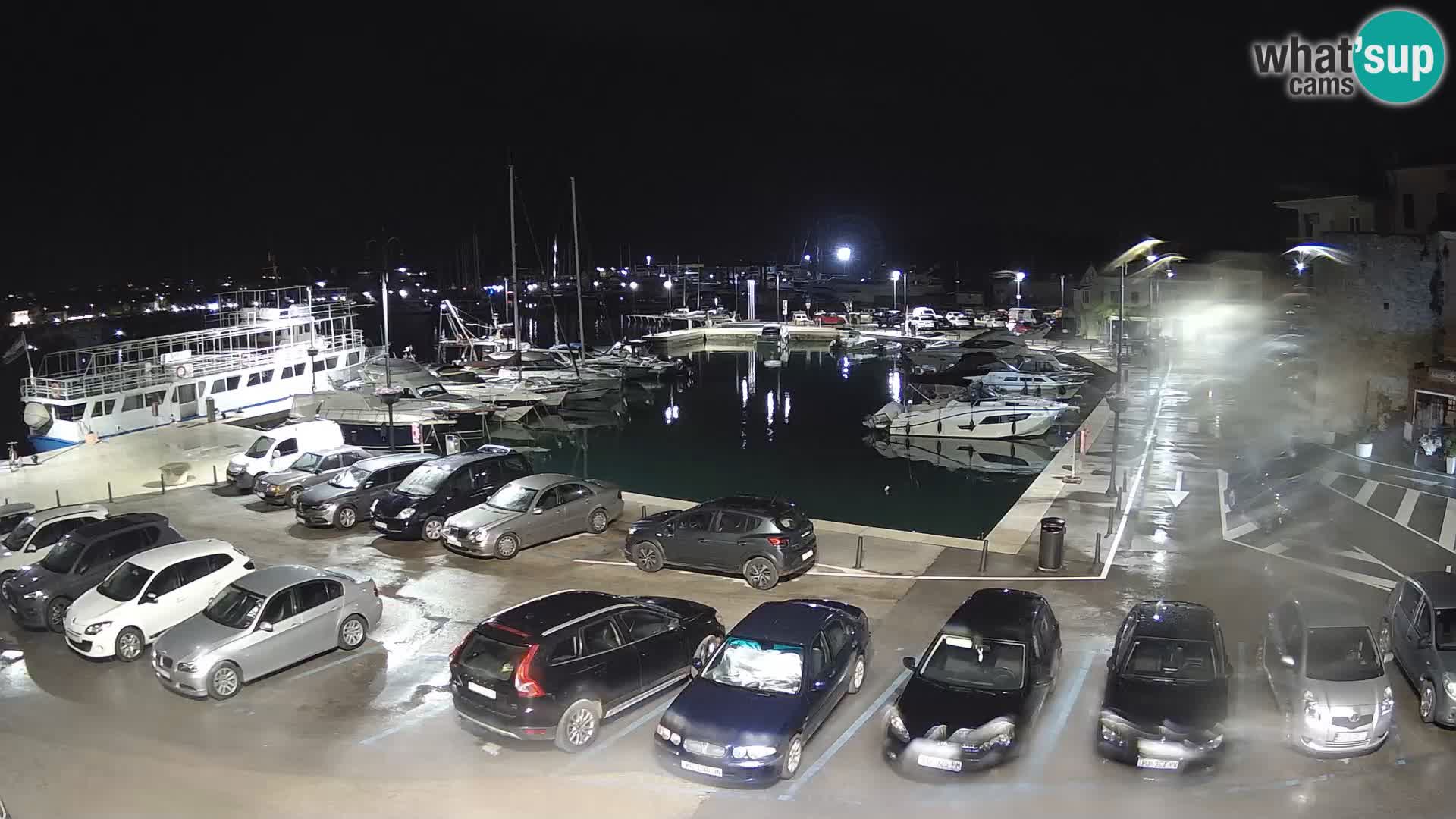 Novigrad | Porporela marina