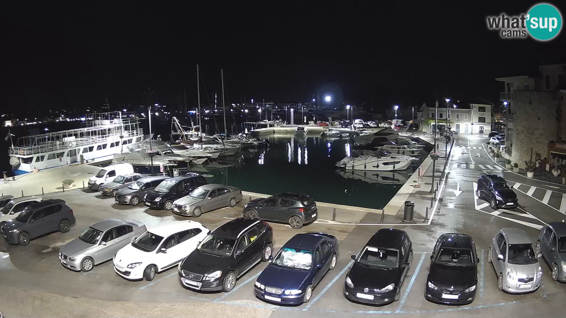 Novigrad | Porporela marina