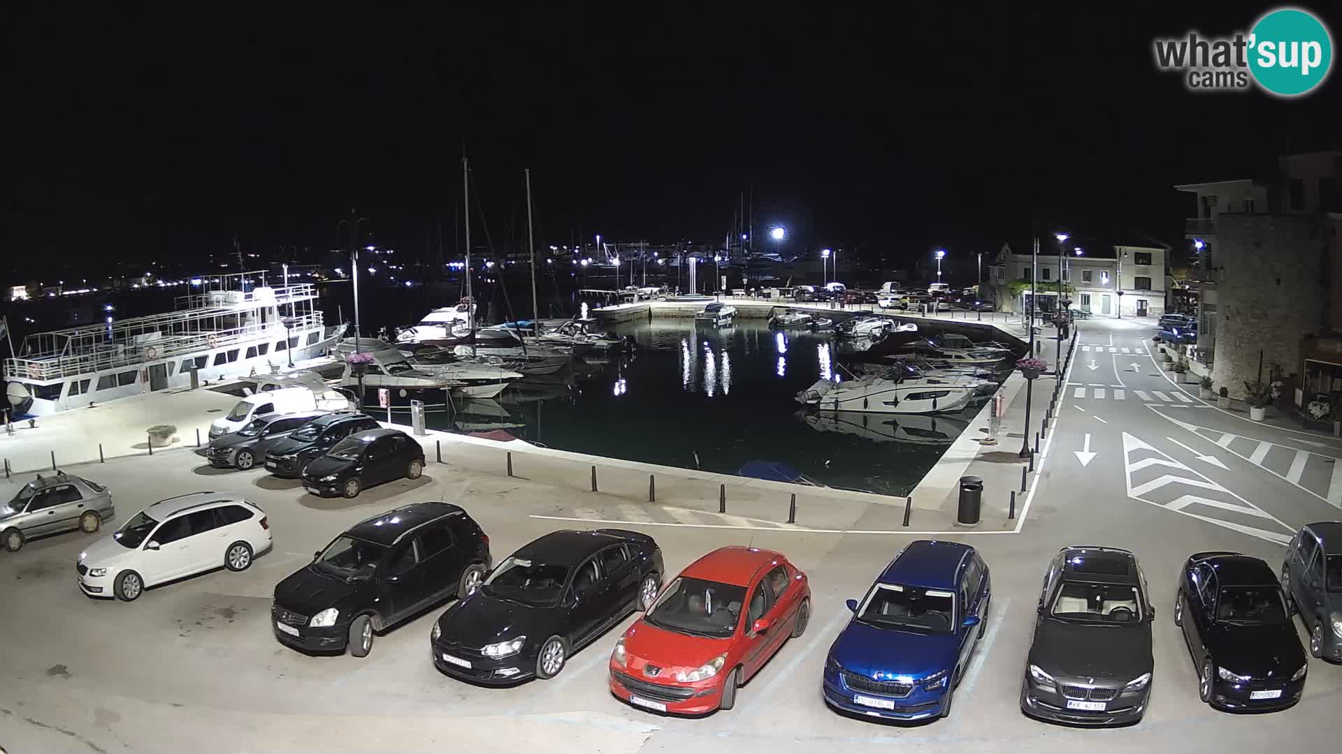 Novigrad | Porporela marina