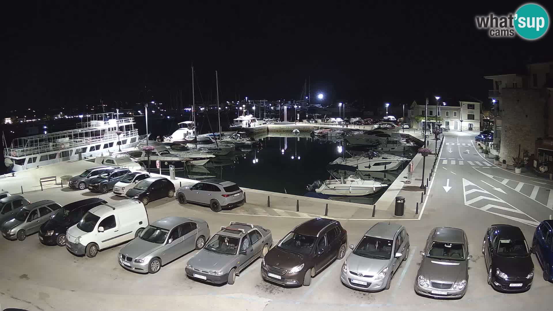 Novigrad | Porporela marina