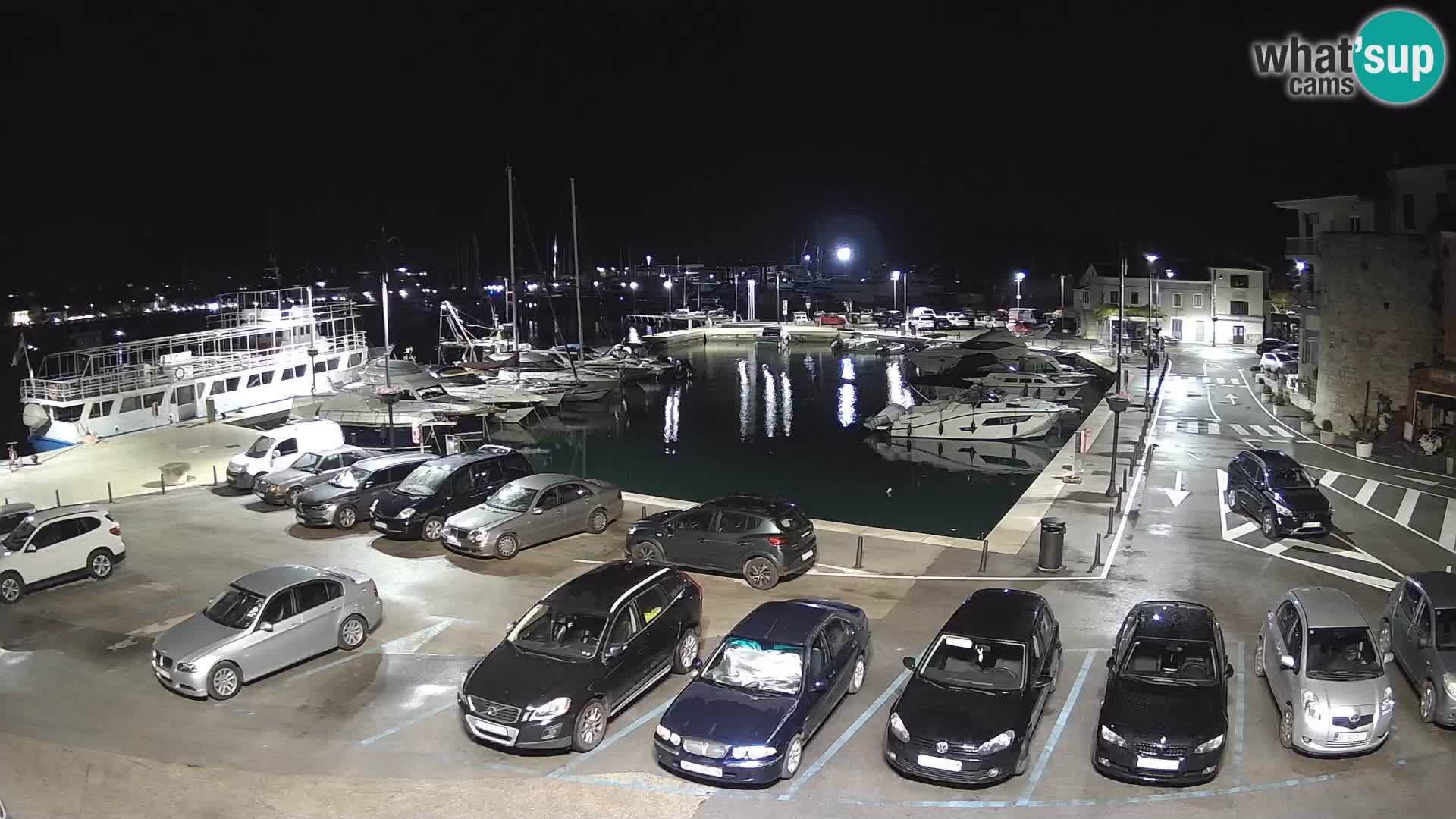 Novigrad | Porporela marina