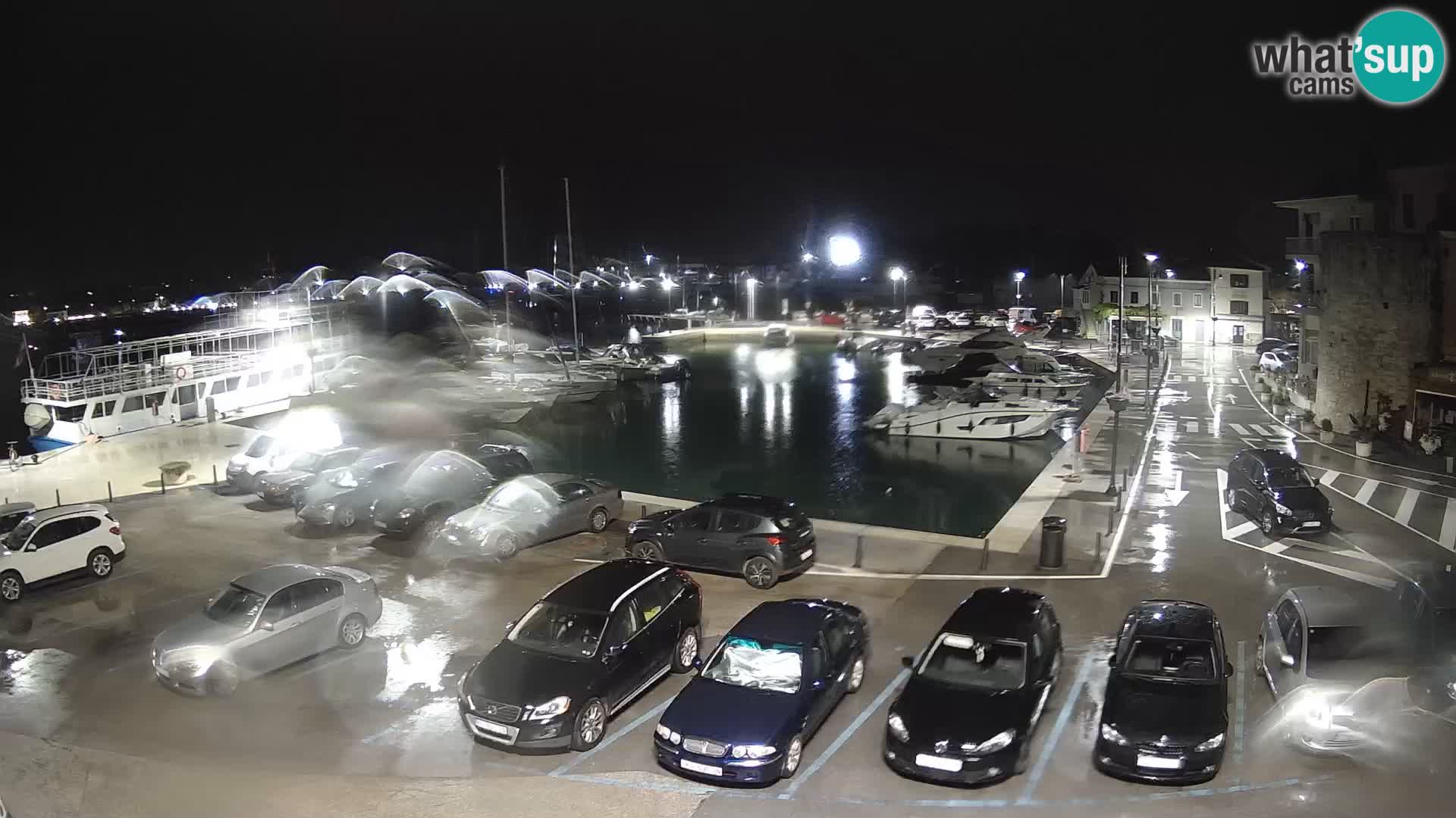 Novigrad | Porporela marina
