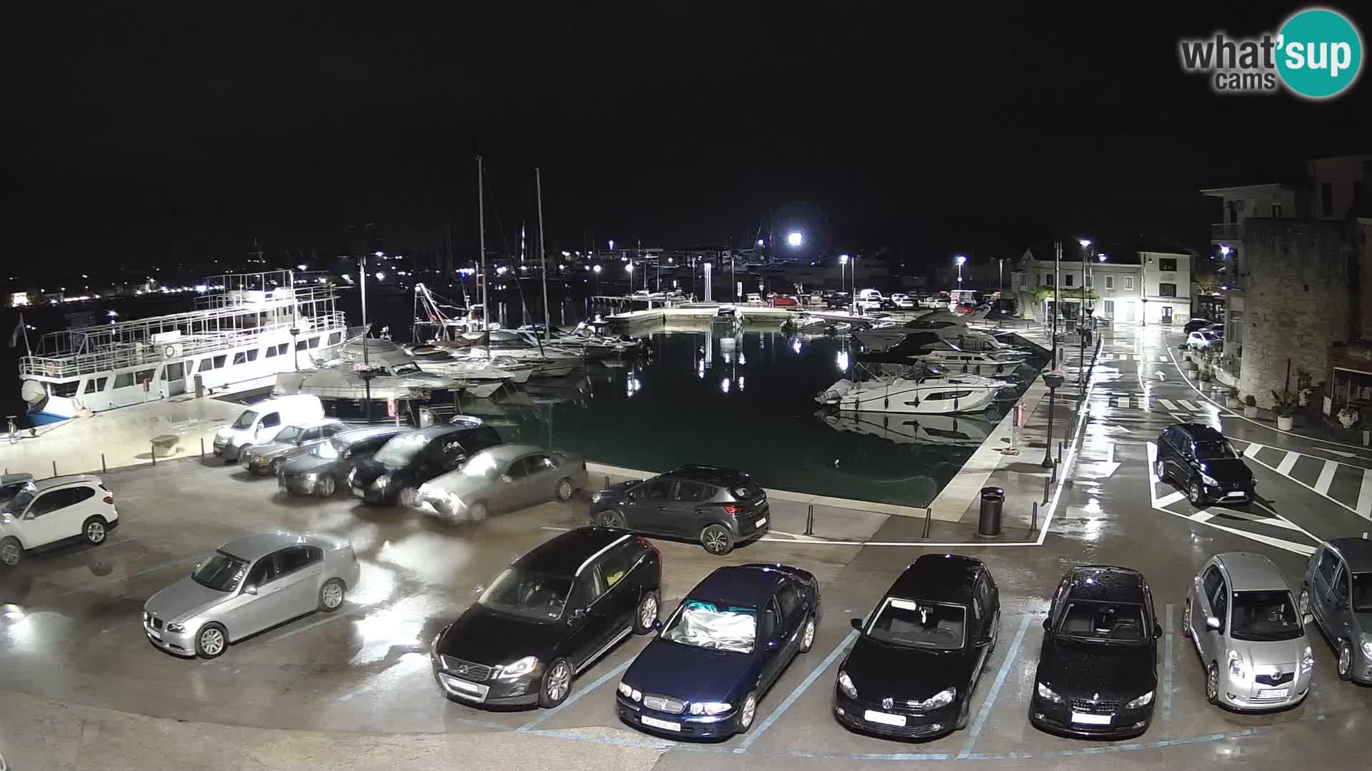Novigrad | Porporela marina