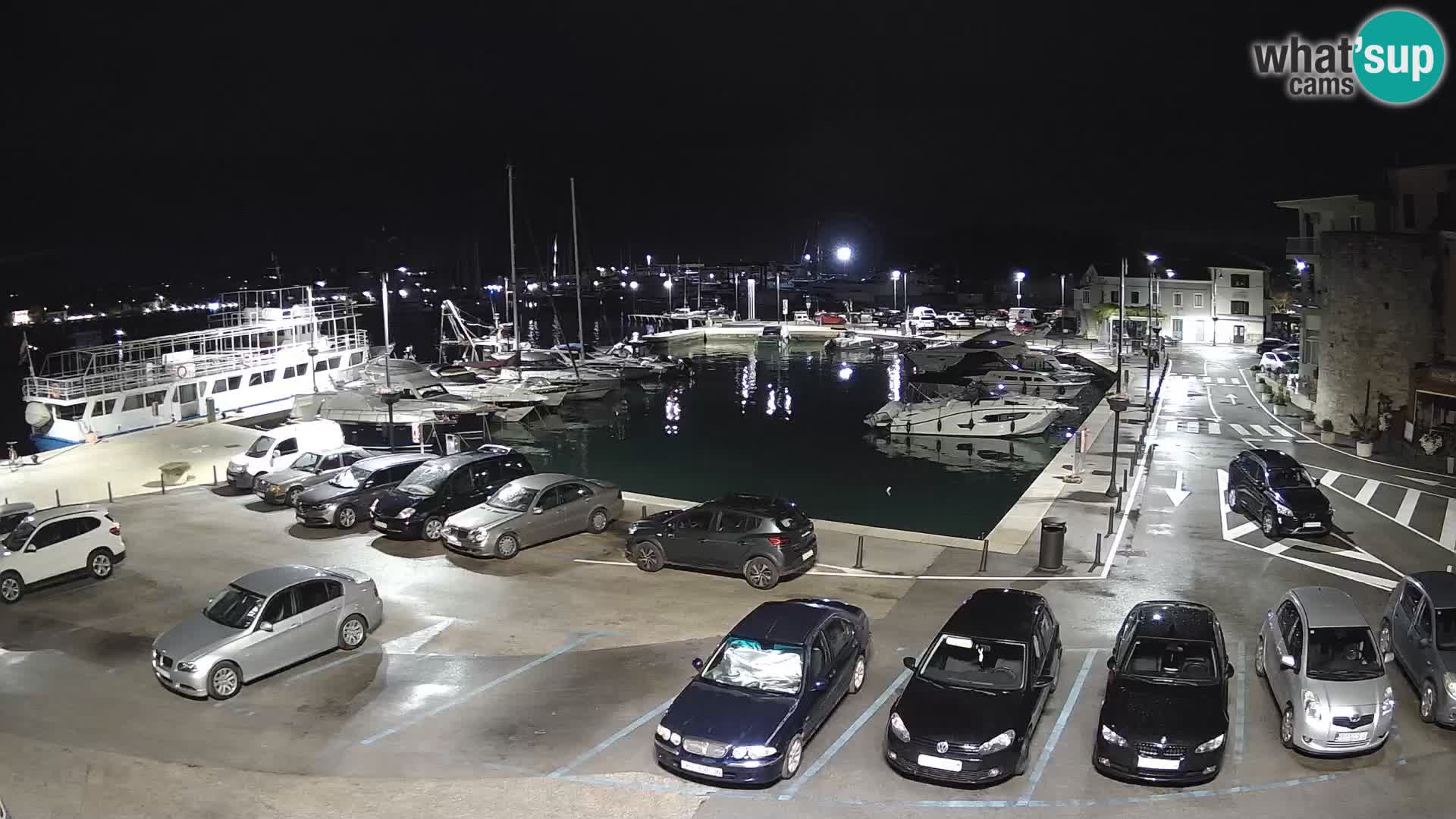 Novigrad | Porporela marina