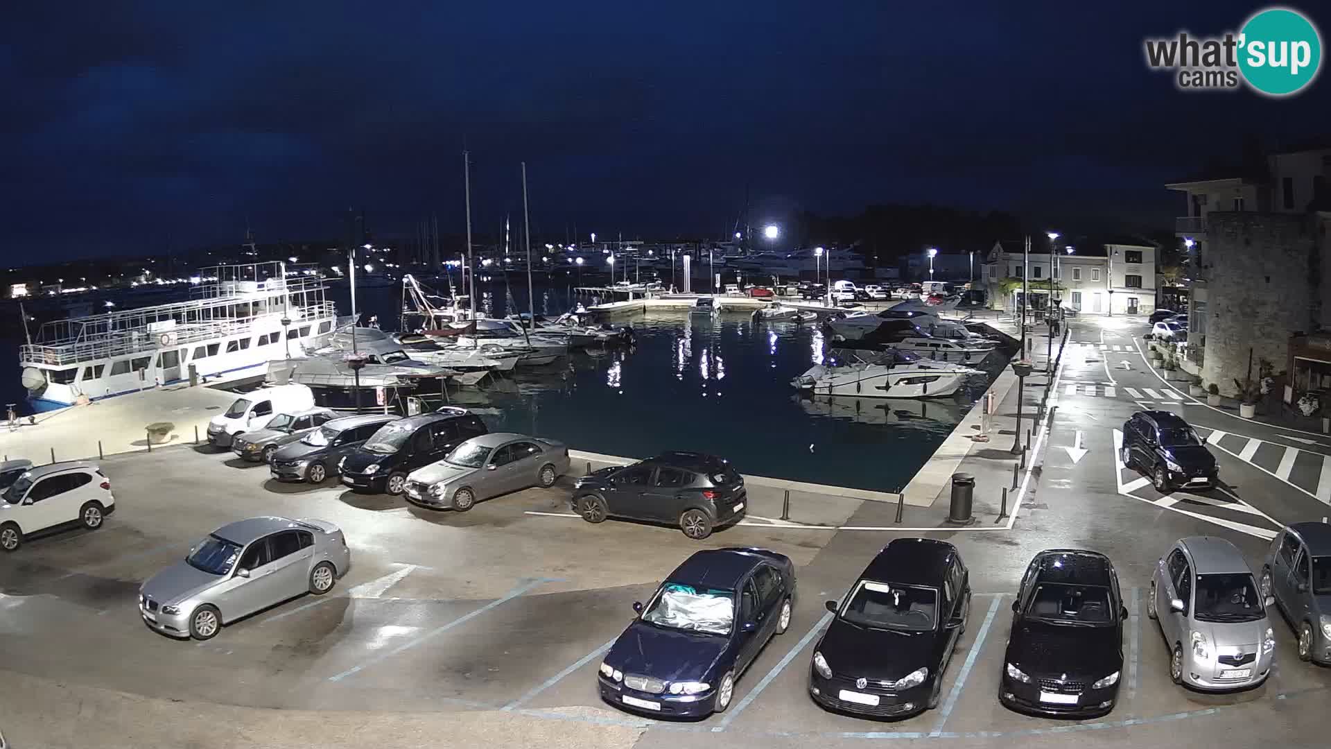 Novigrad | Porporela marina