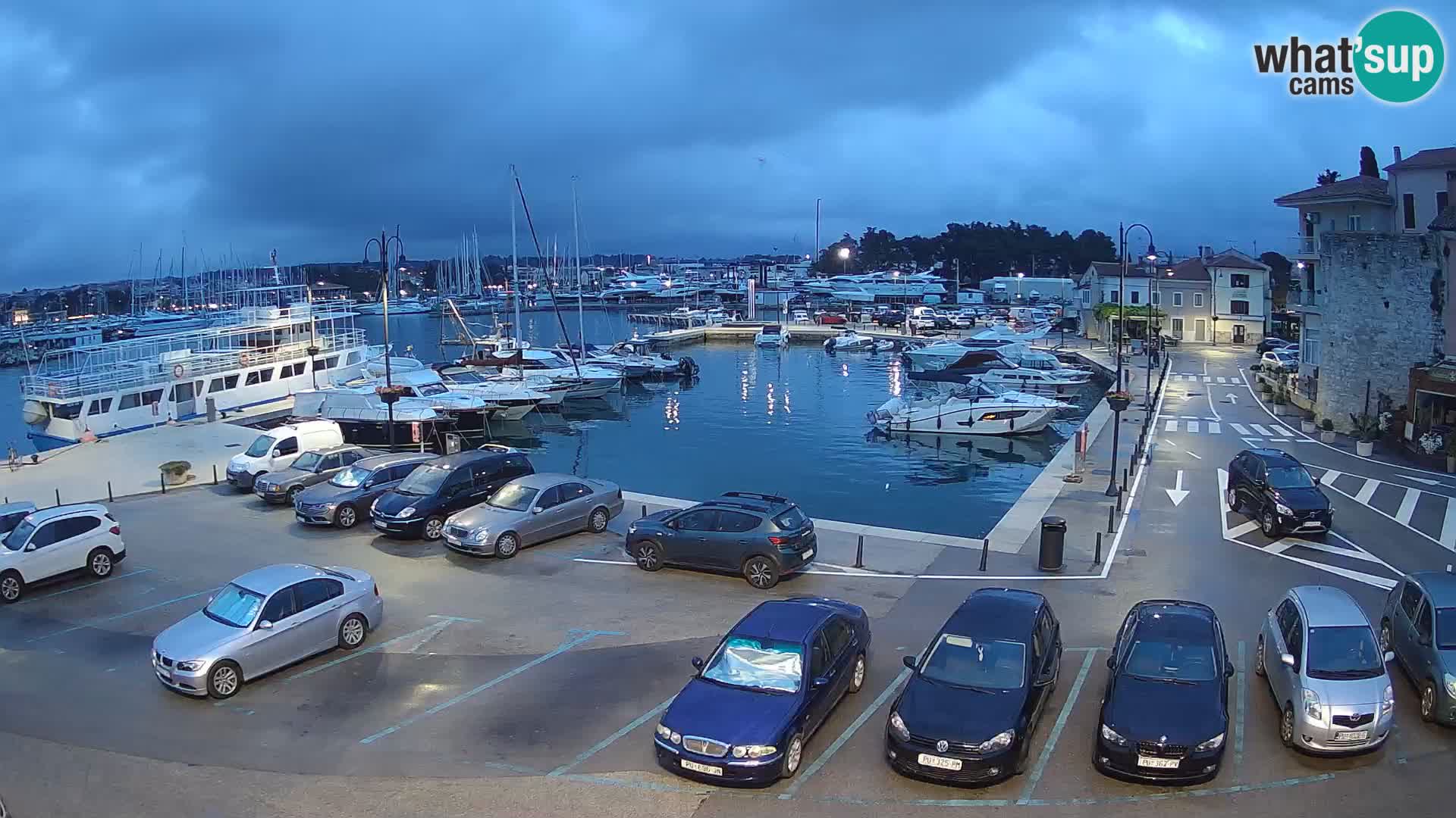 Novigrad | Porporela marina