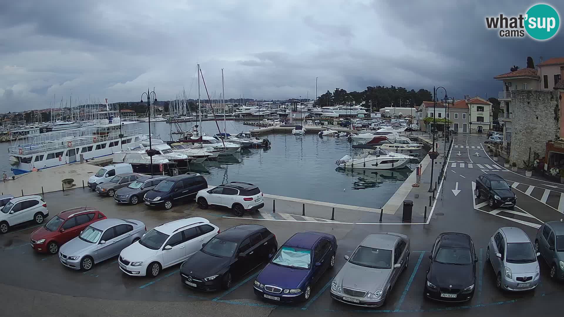 Novigrad | Porporela marina