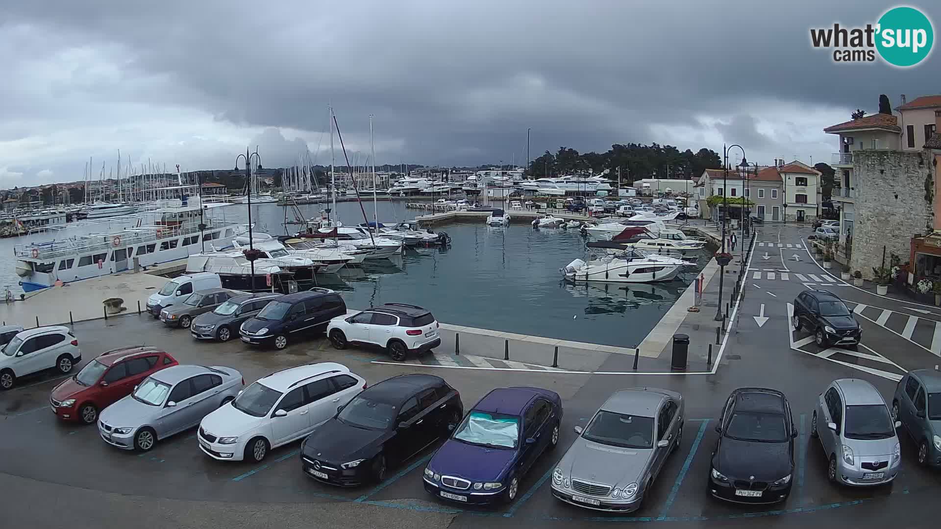 Novigrad | Porporela marina