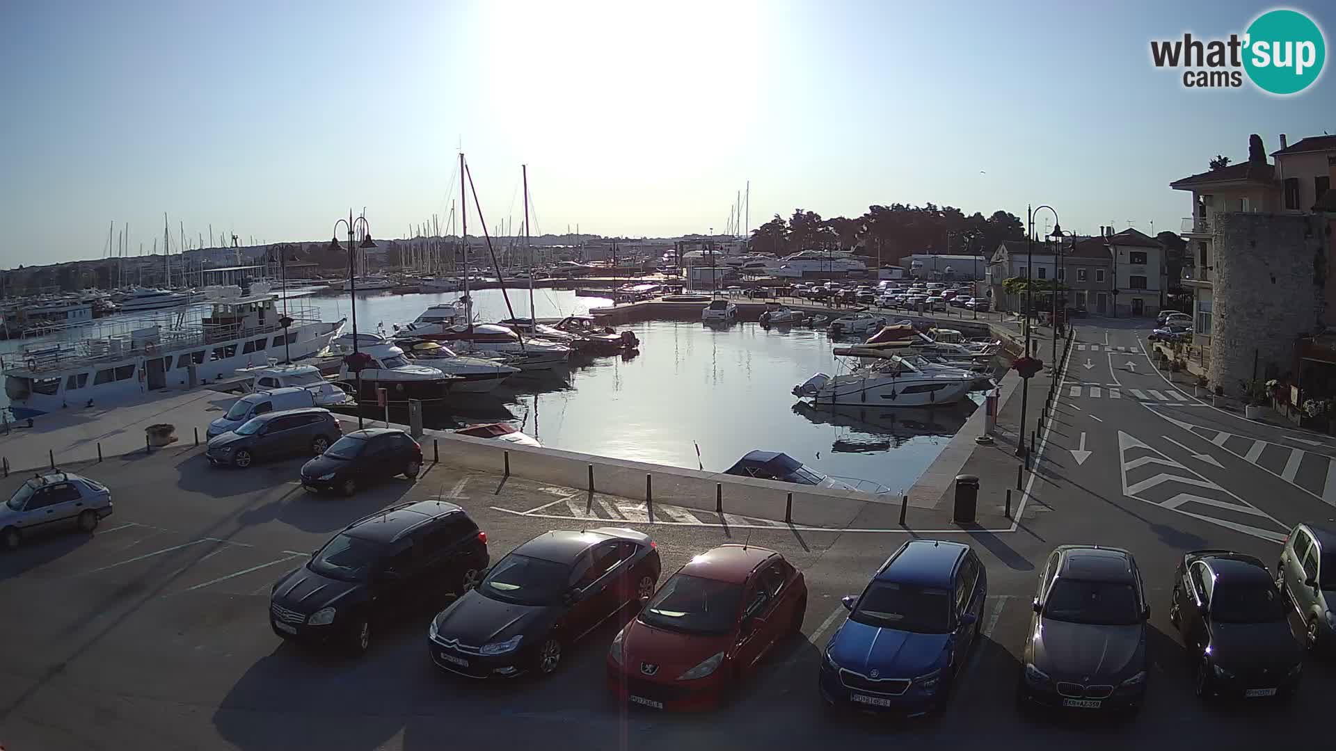 Novigrad | Porporela marina