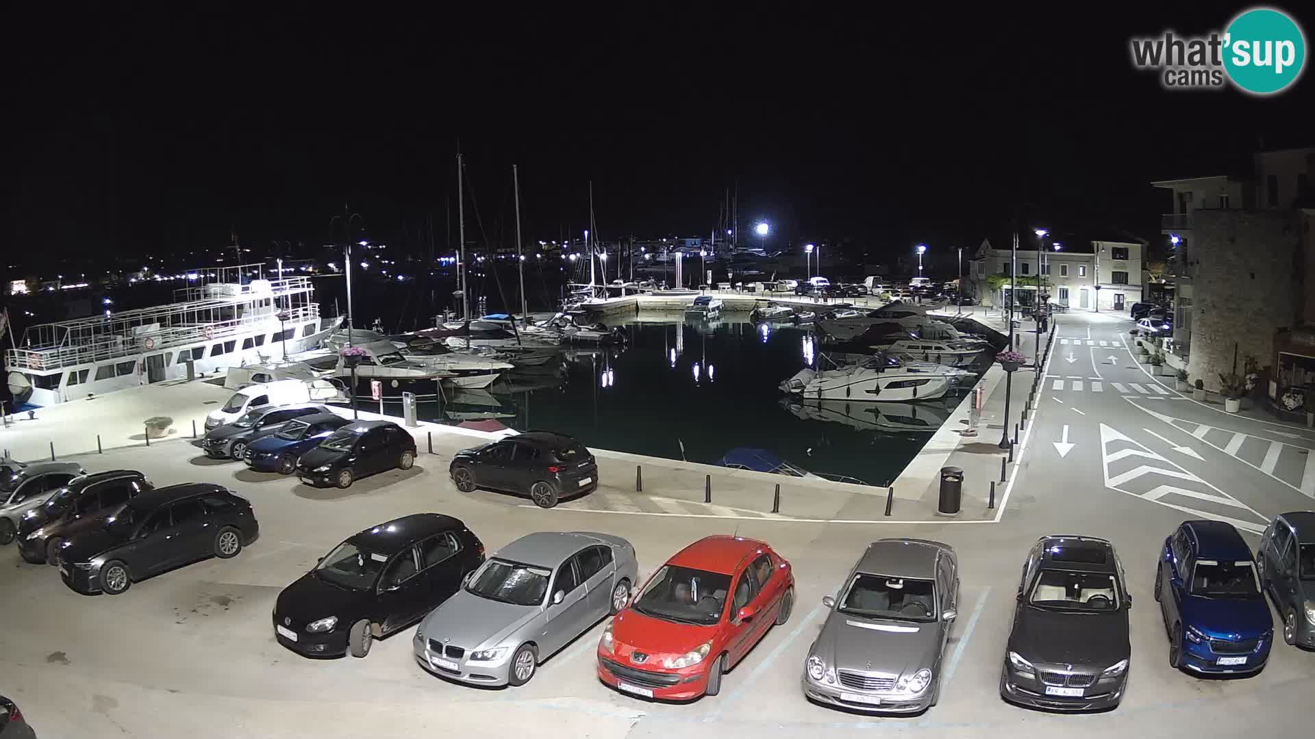 Novigrad | Porporela marina