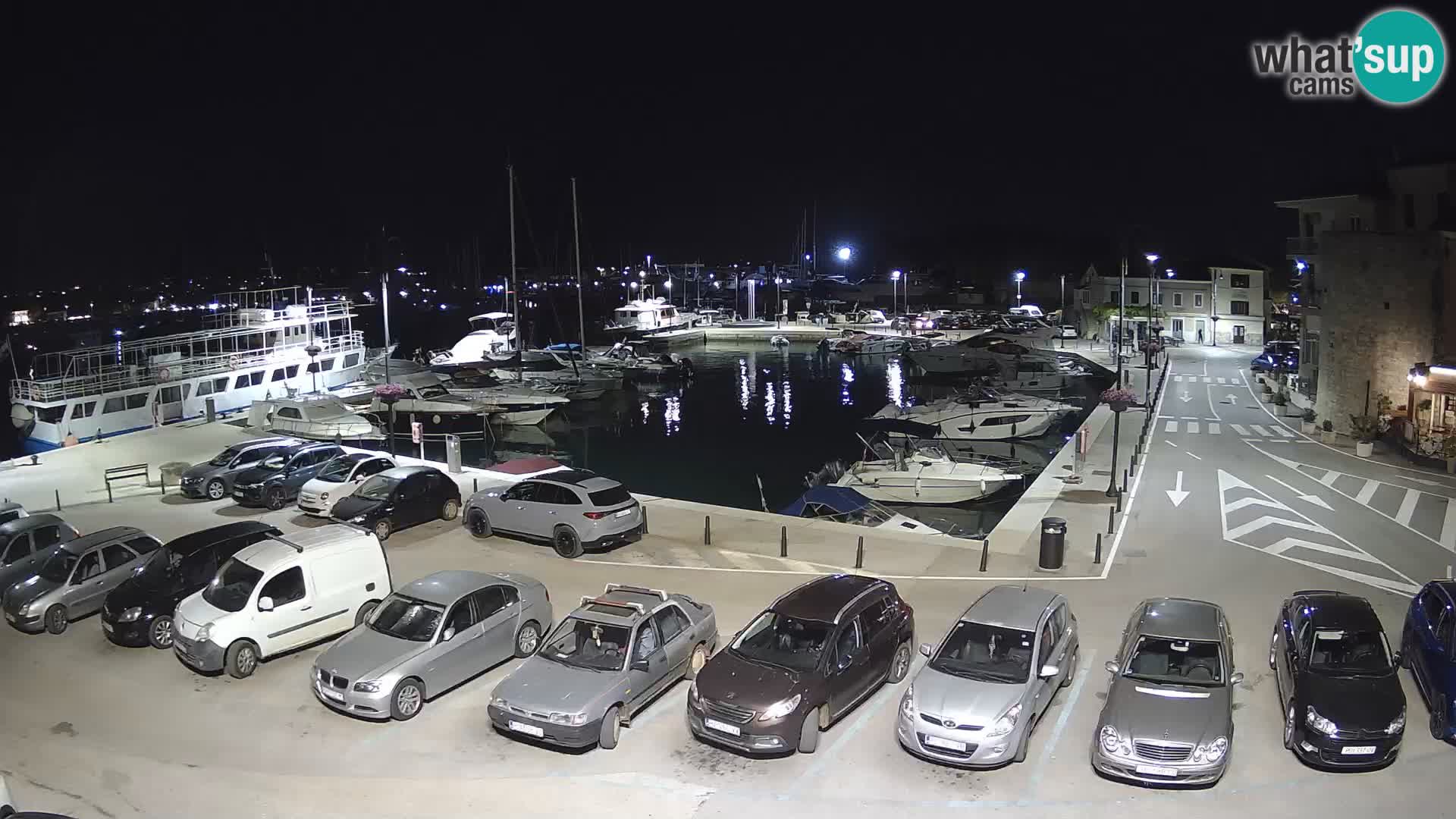 Novigrad | Porporela marina