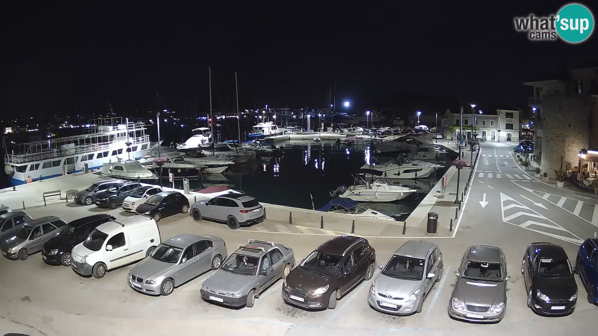 Novigrad | Porporela marina