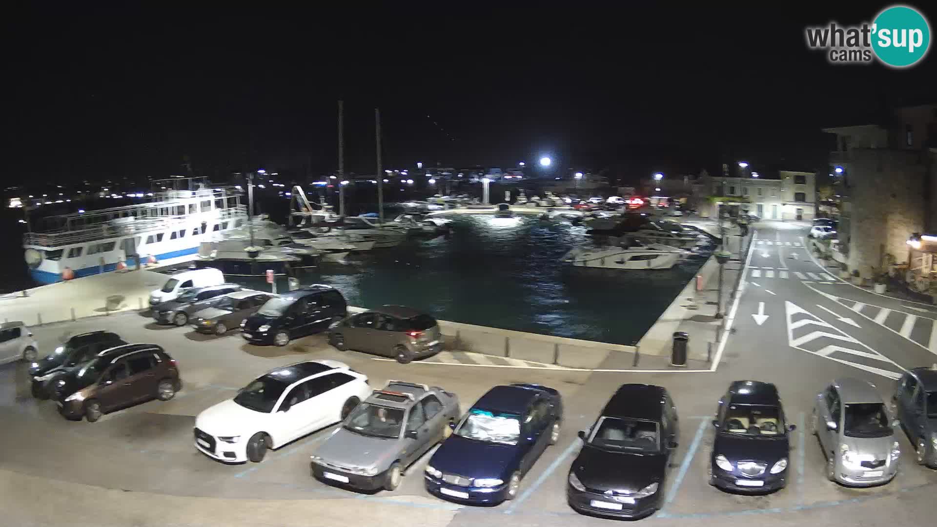 Novigrad | Porporela marina