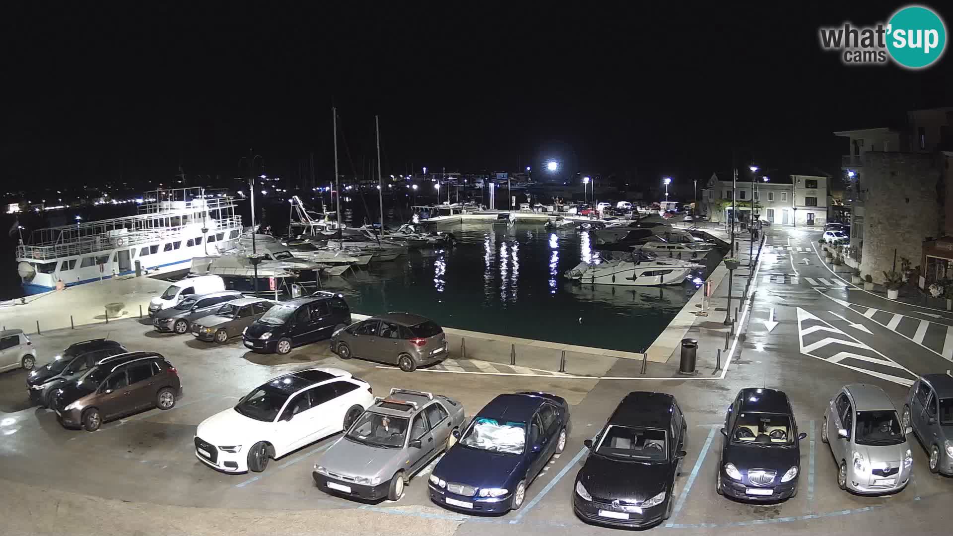 Novigrad | Porporela marina