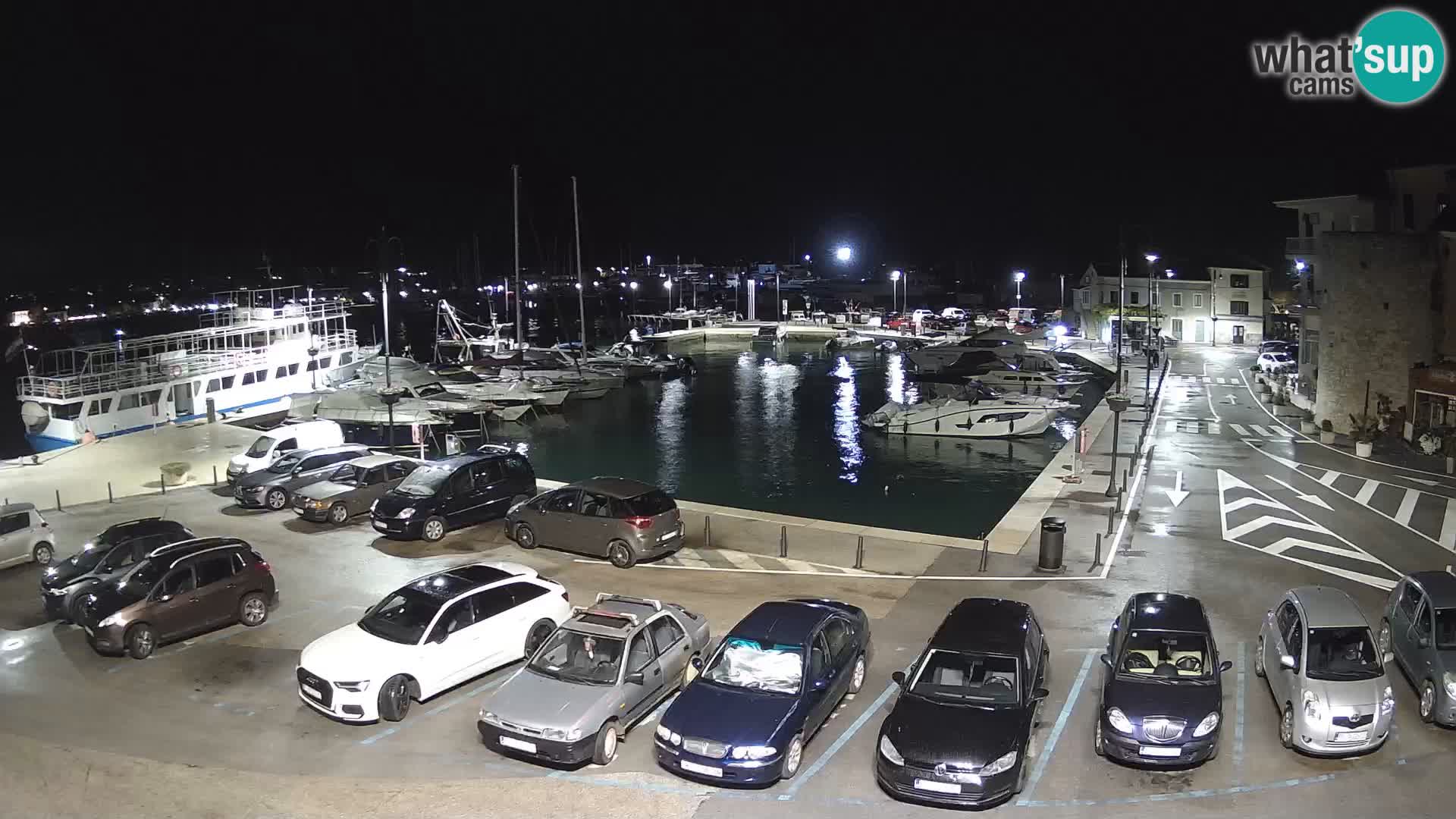 Novigrad | Porporela marina
