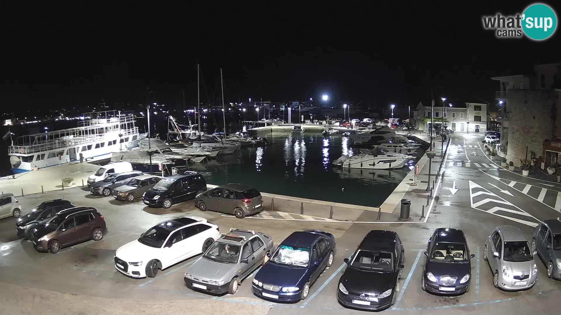 Novigrad | Porporela marina