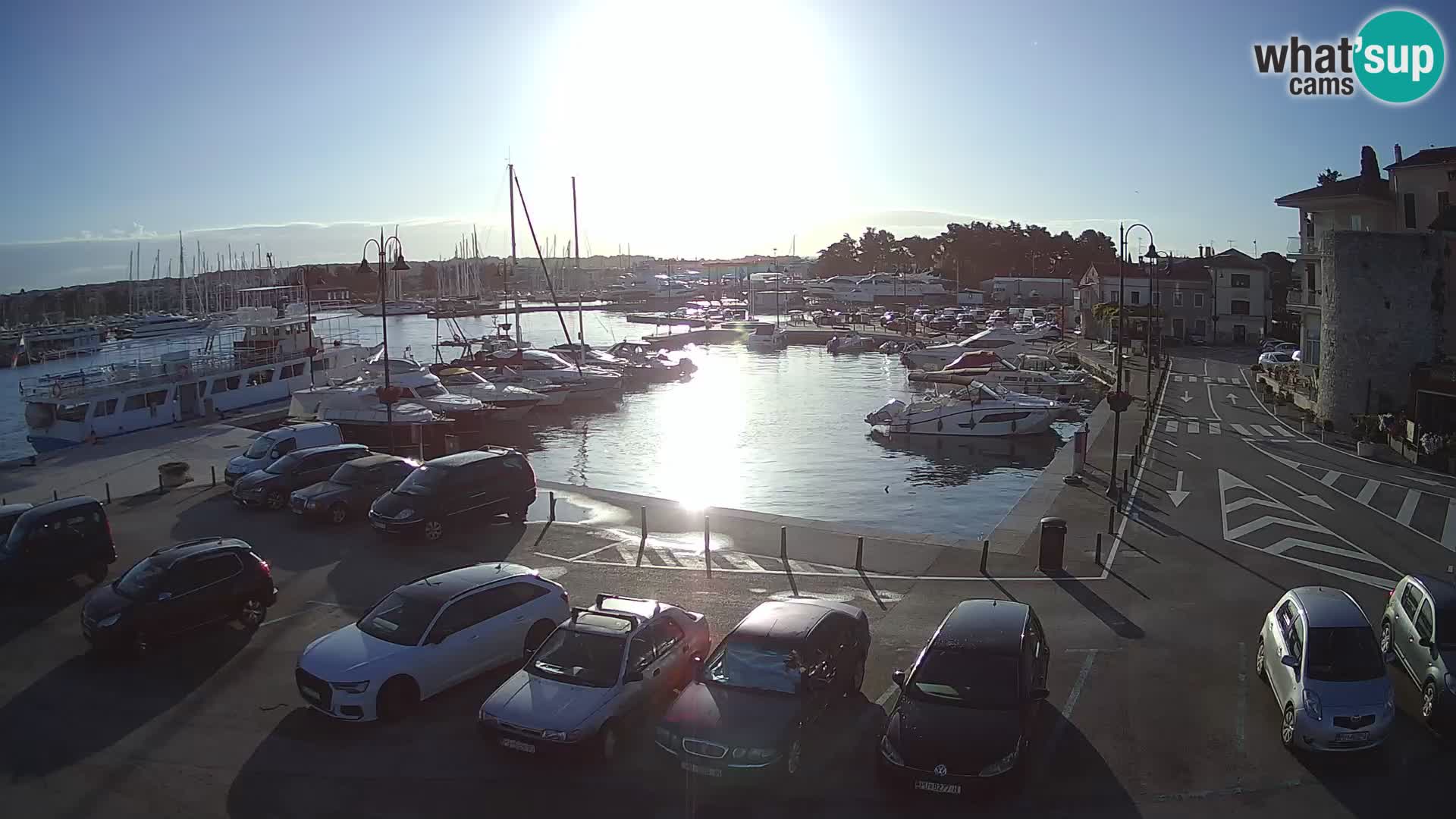 Novigrad | Porporela marina