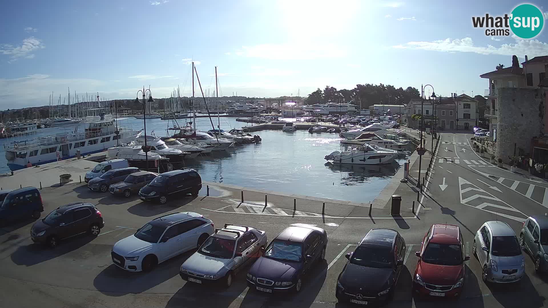 Novigrad | Porporela marina