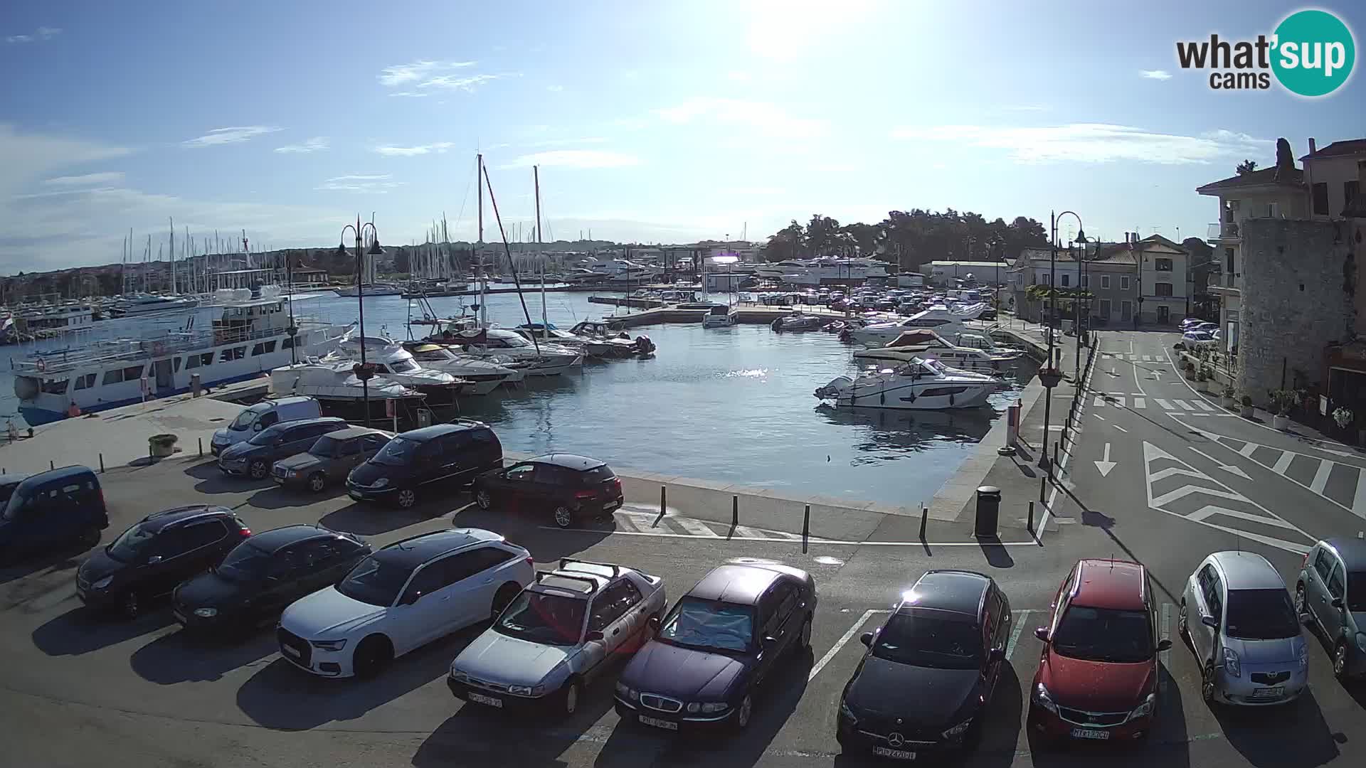 Novigrad | Porporela marina