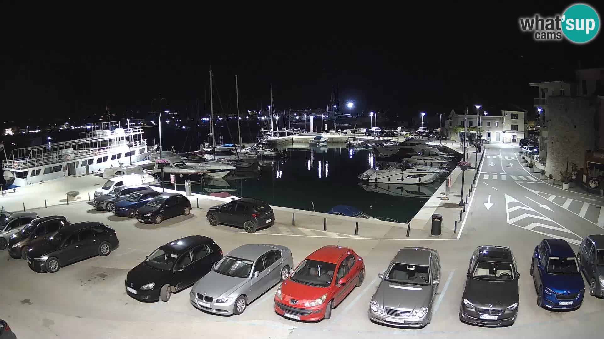 Novigrad | Porporela marina