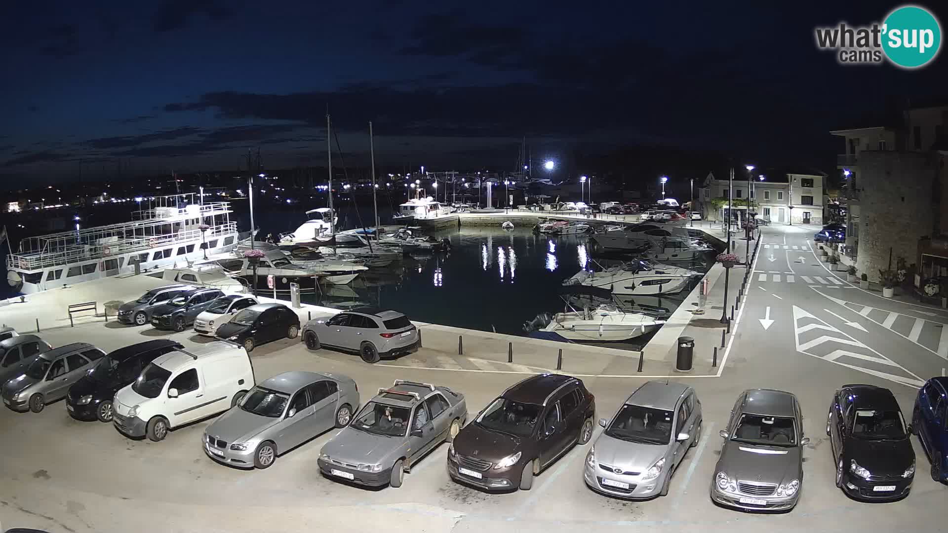 Novigrad | Porporela marina
