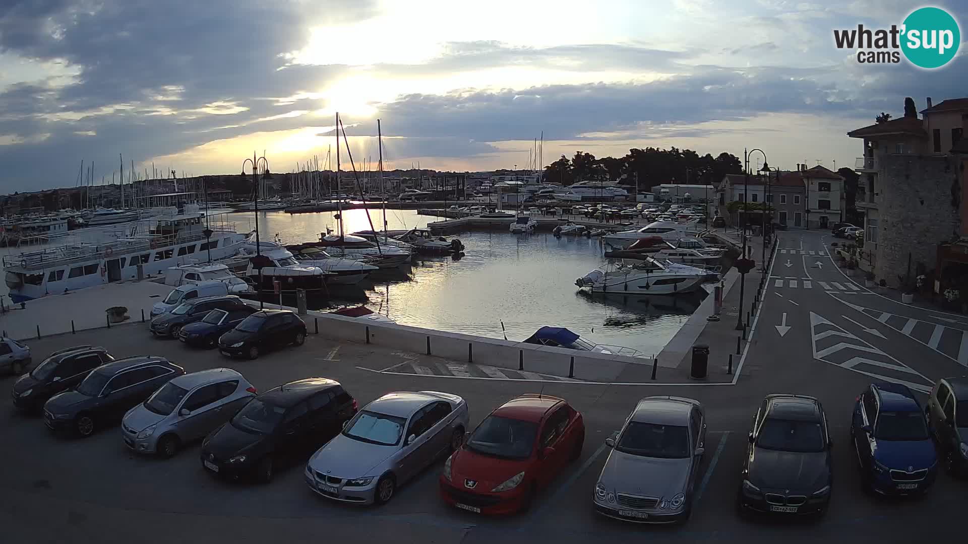 Novigrad | Porporela marina