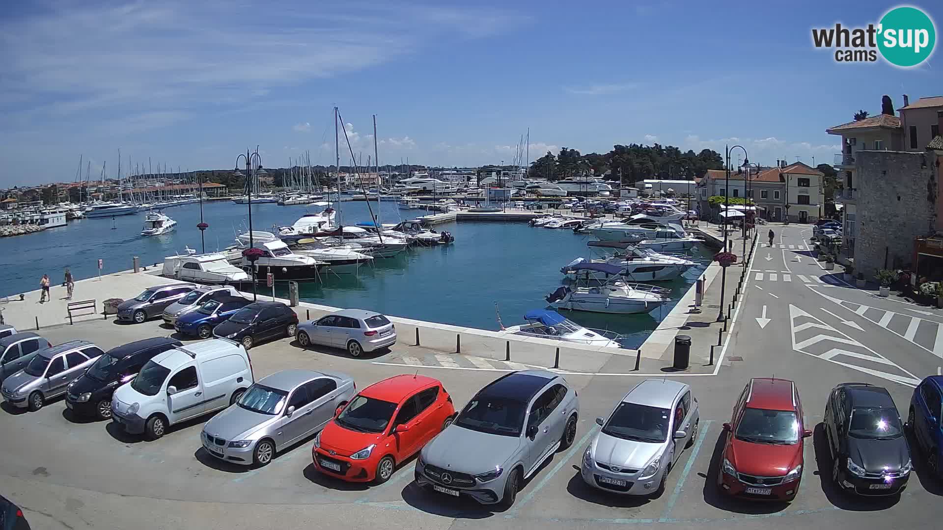 Novigrad | Porporela marina