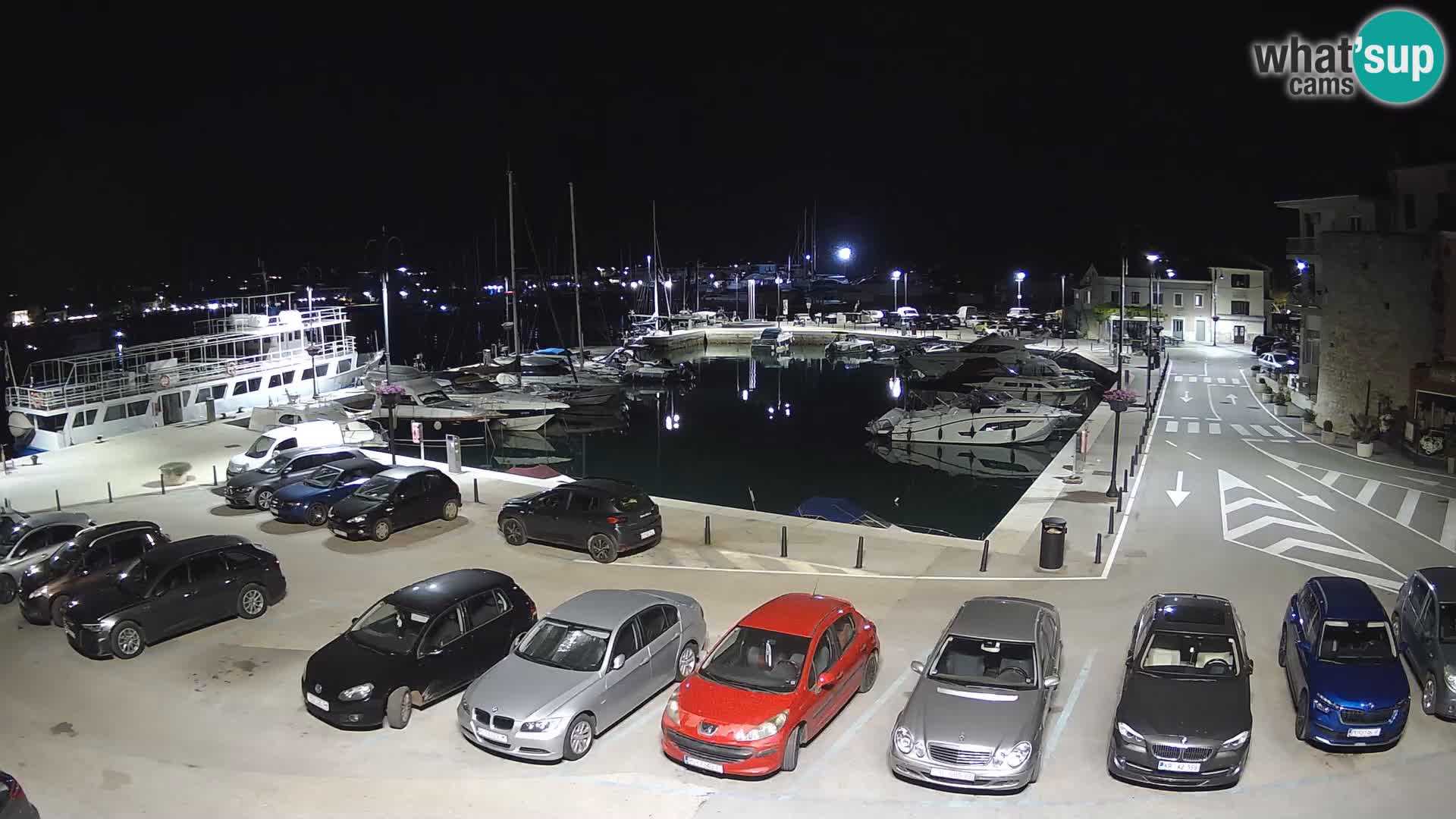 Novigrad | Porporela marina