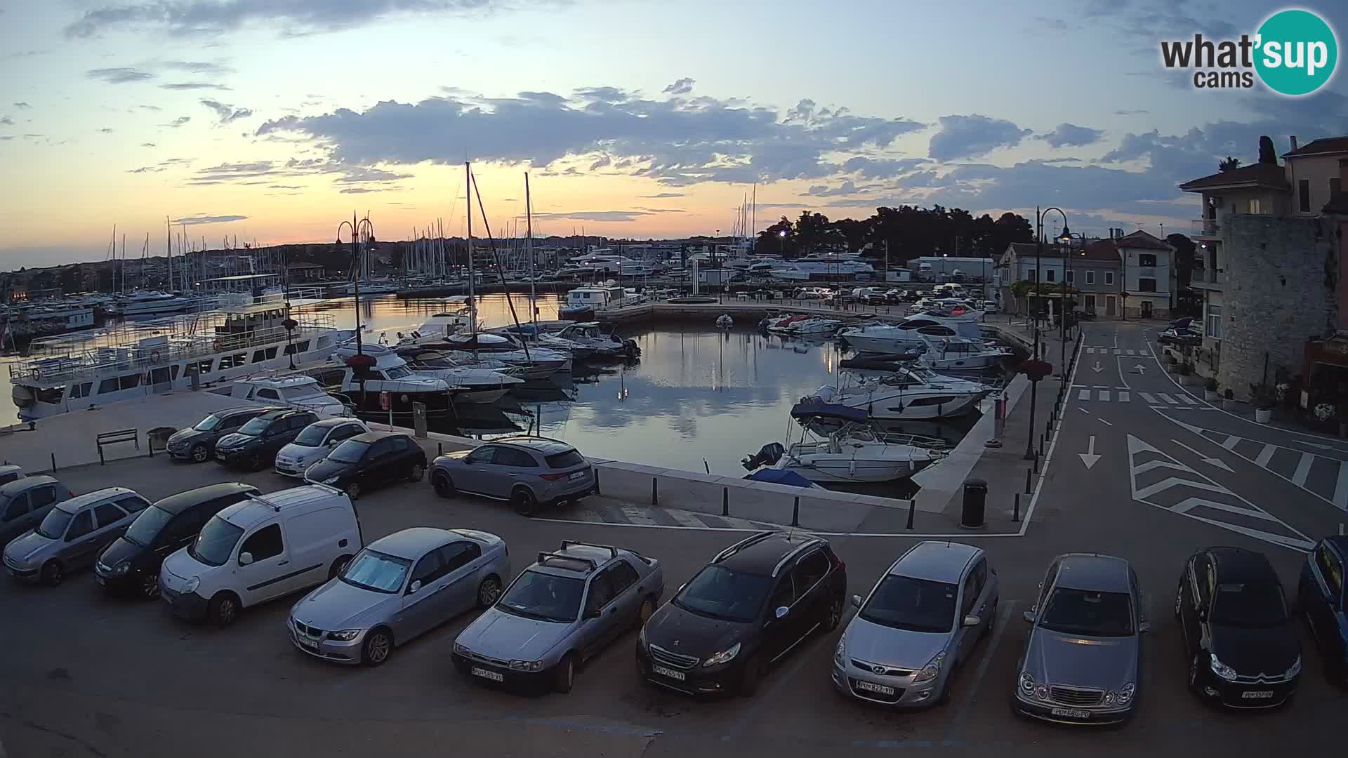 Novigrad | Porporela marina