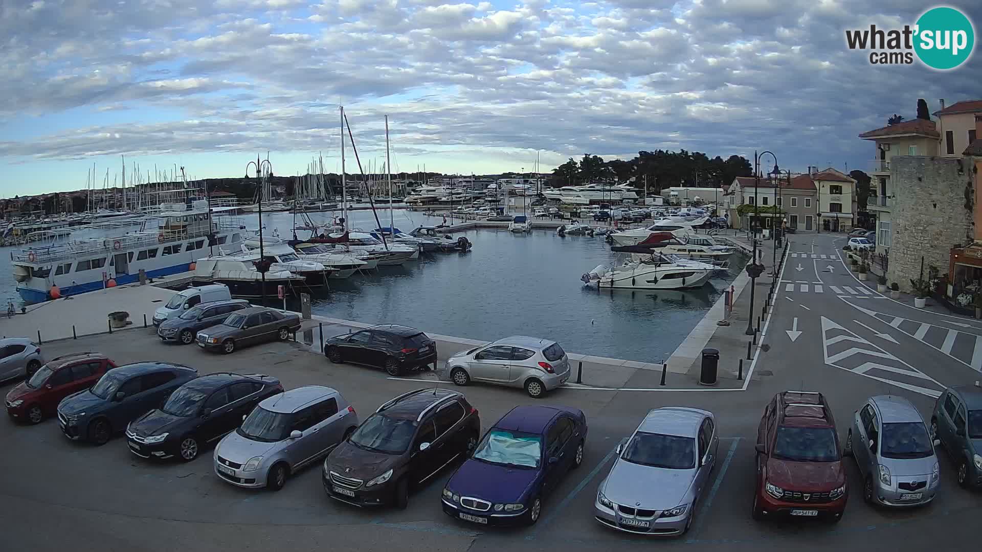 Novigrad | Porporela marina