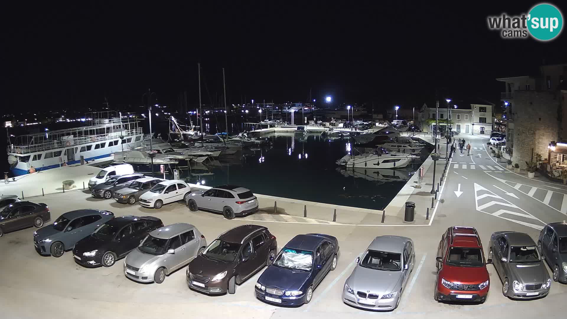 Novigrad | Porporela marina