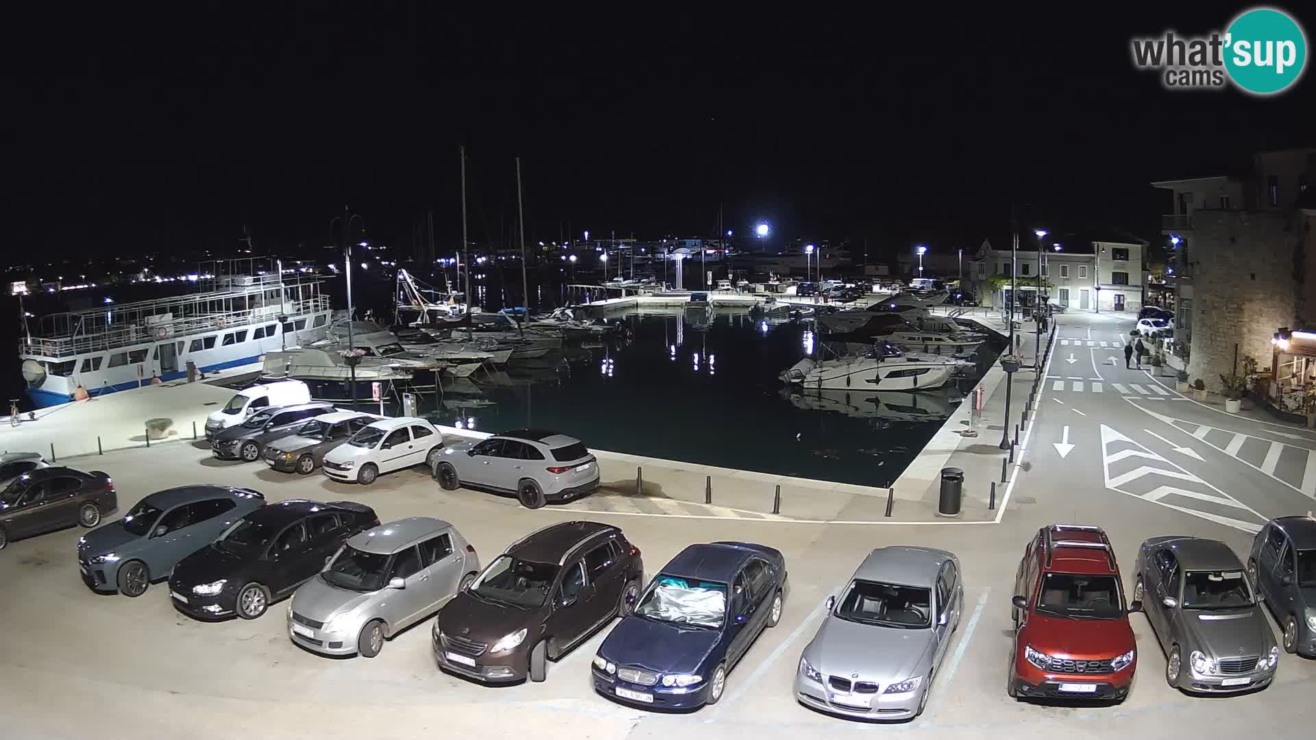 Novigrad | Porporela marina