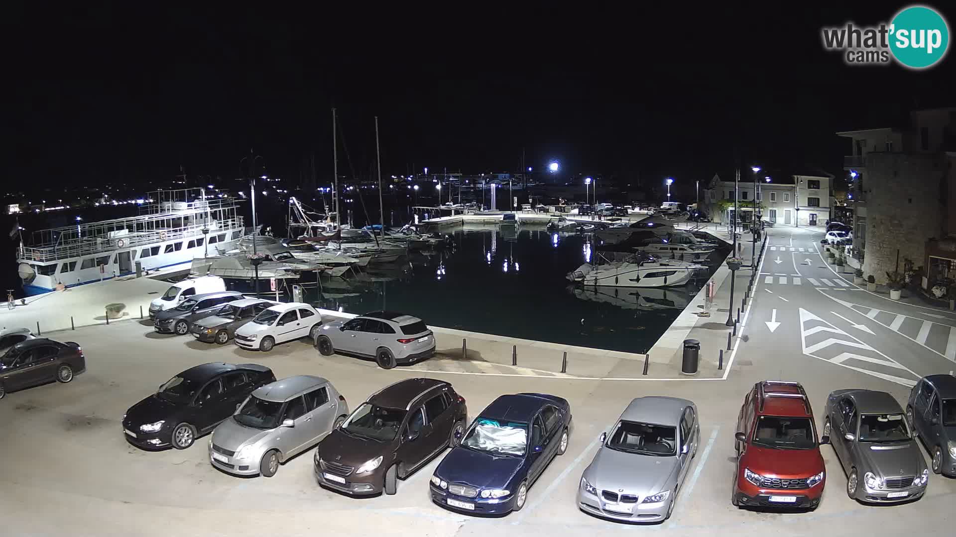 Novigrad | Porporela marina