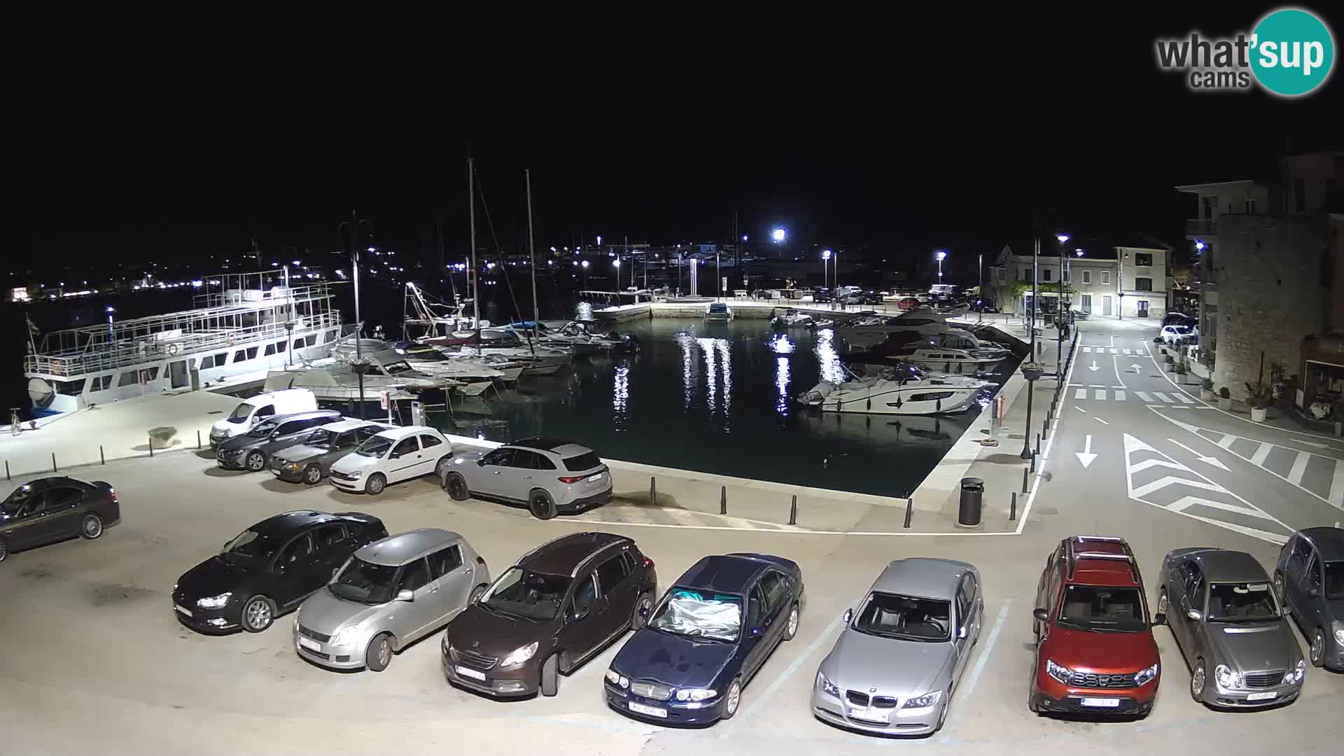 Novigrad | Porporela marina